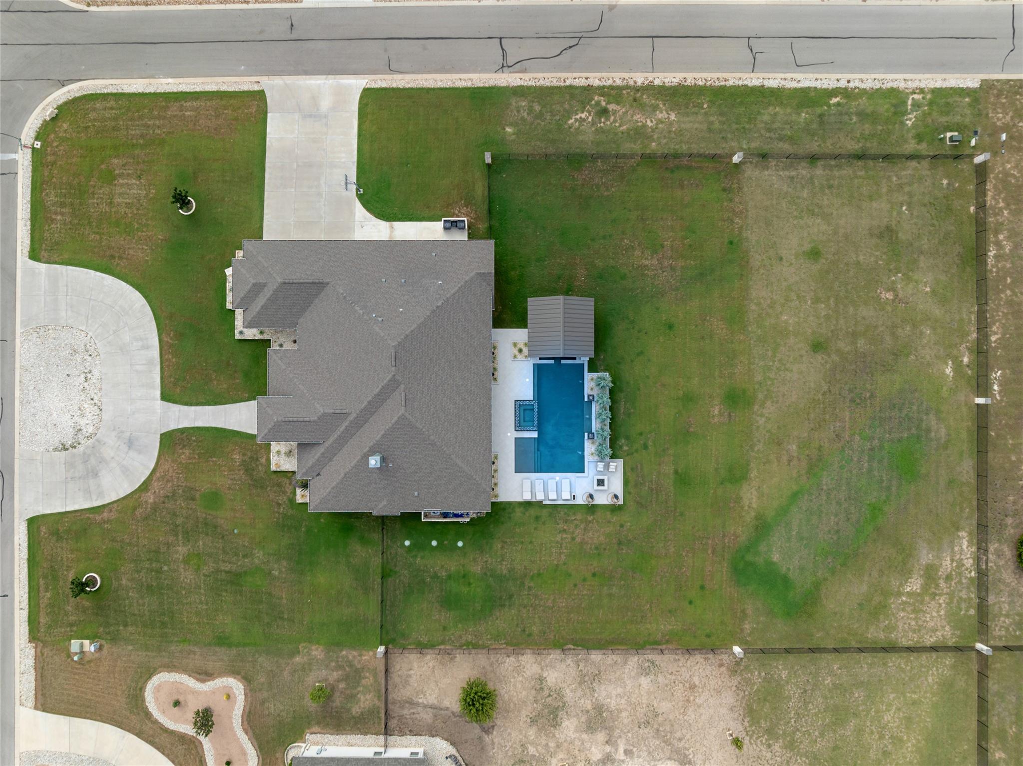 112 Honey Locust CV