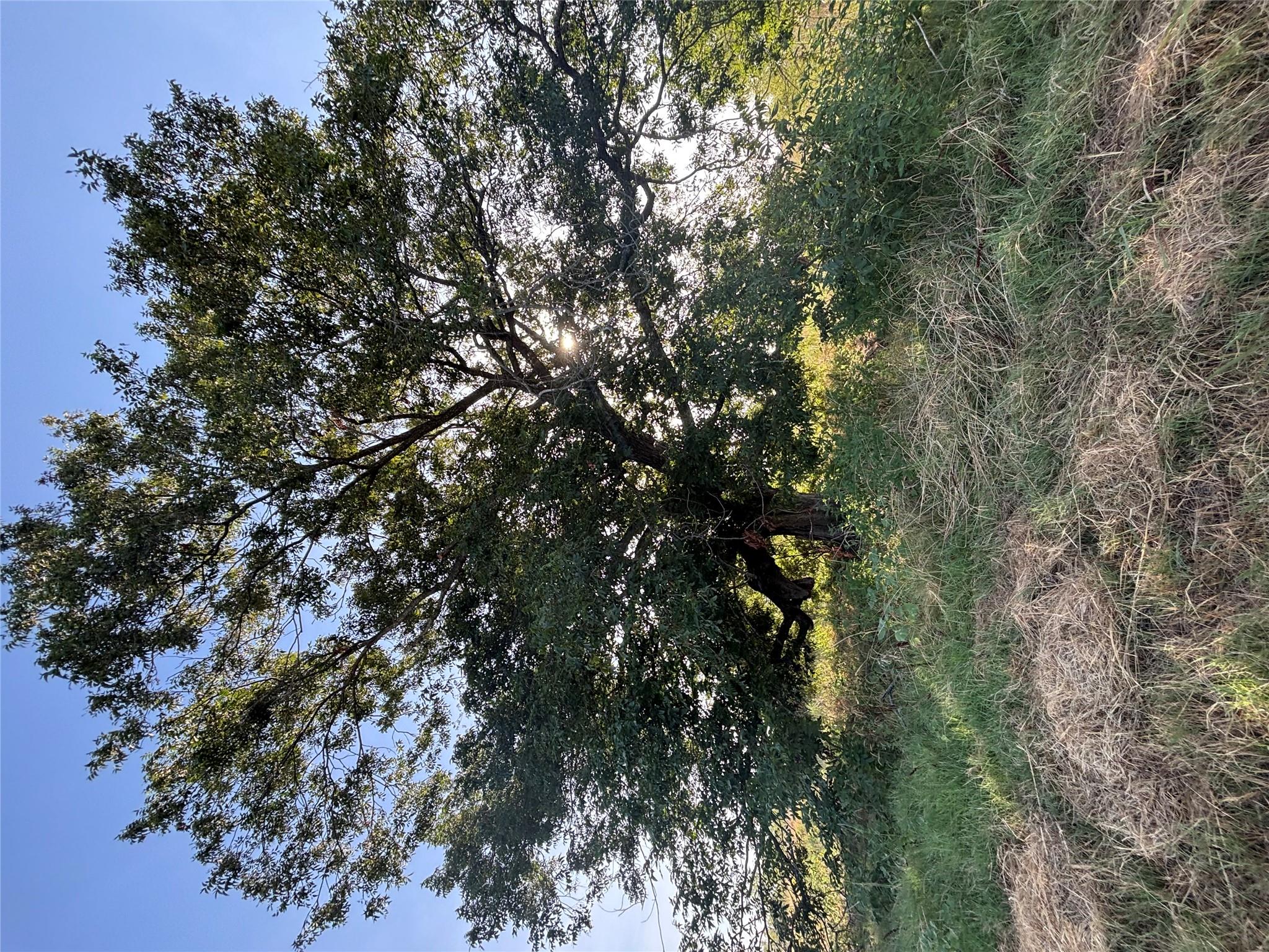 TBD Tract 9 CR 414