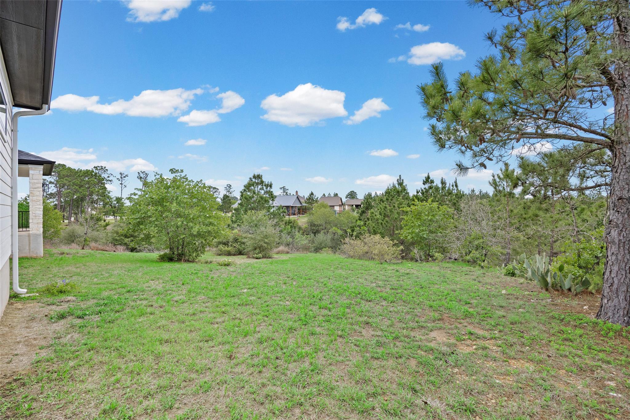 111 Tall Forest DR