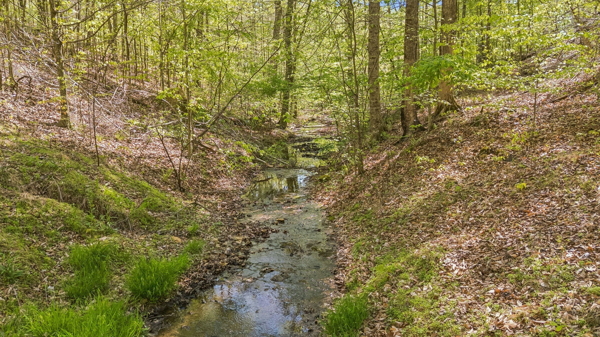 5308 Waddell Hollow Rd