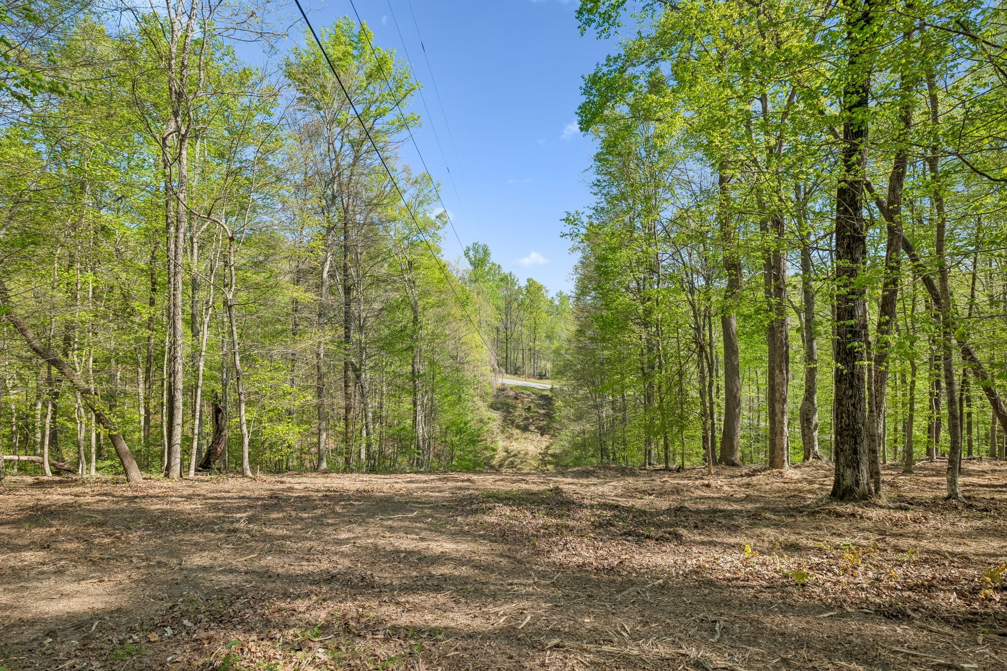 5308 Waddell Hollow Rd