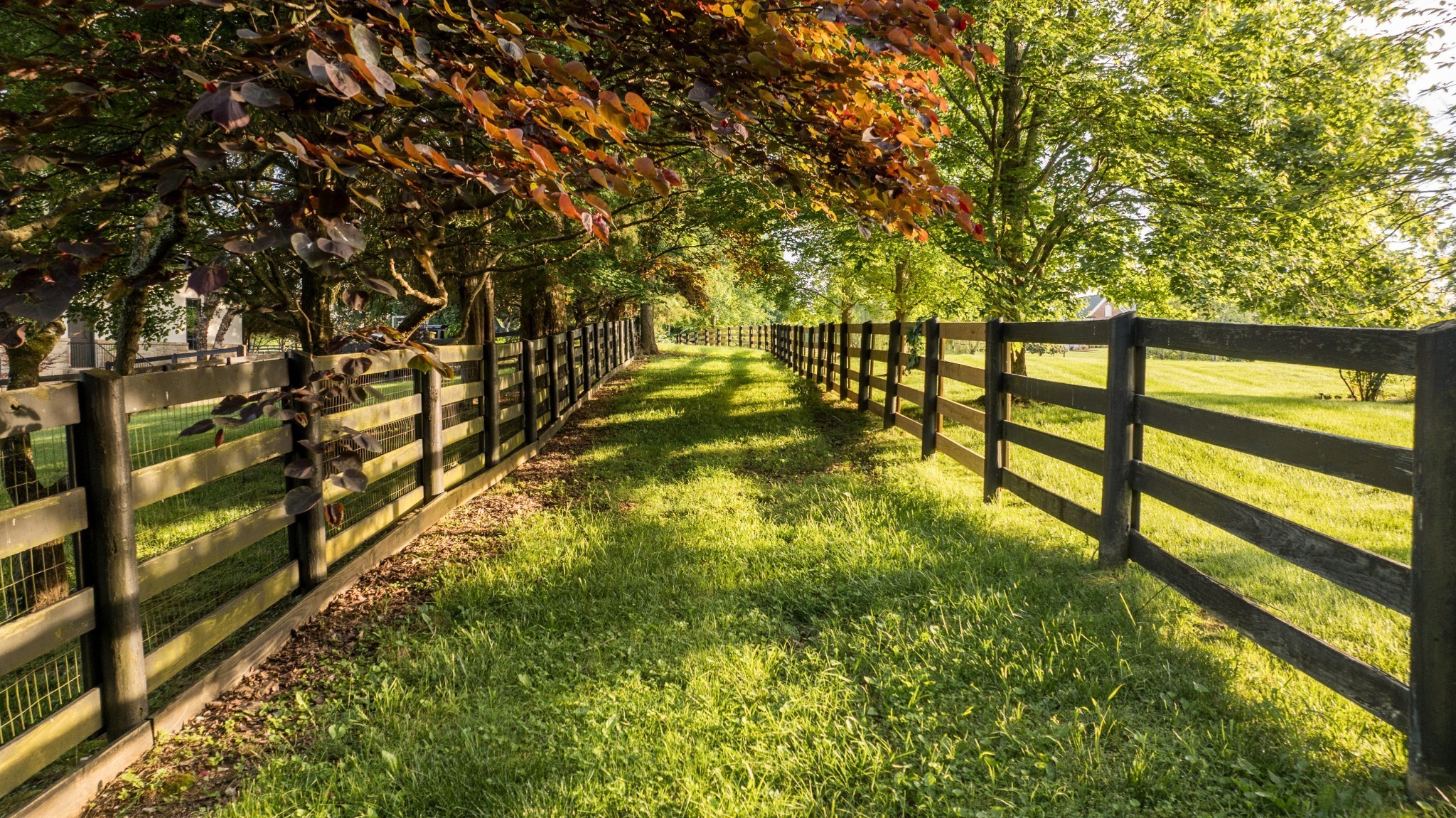 Grassy yard bordered by dark wooden fences beneath mature trees with autumn leaves.