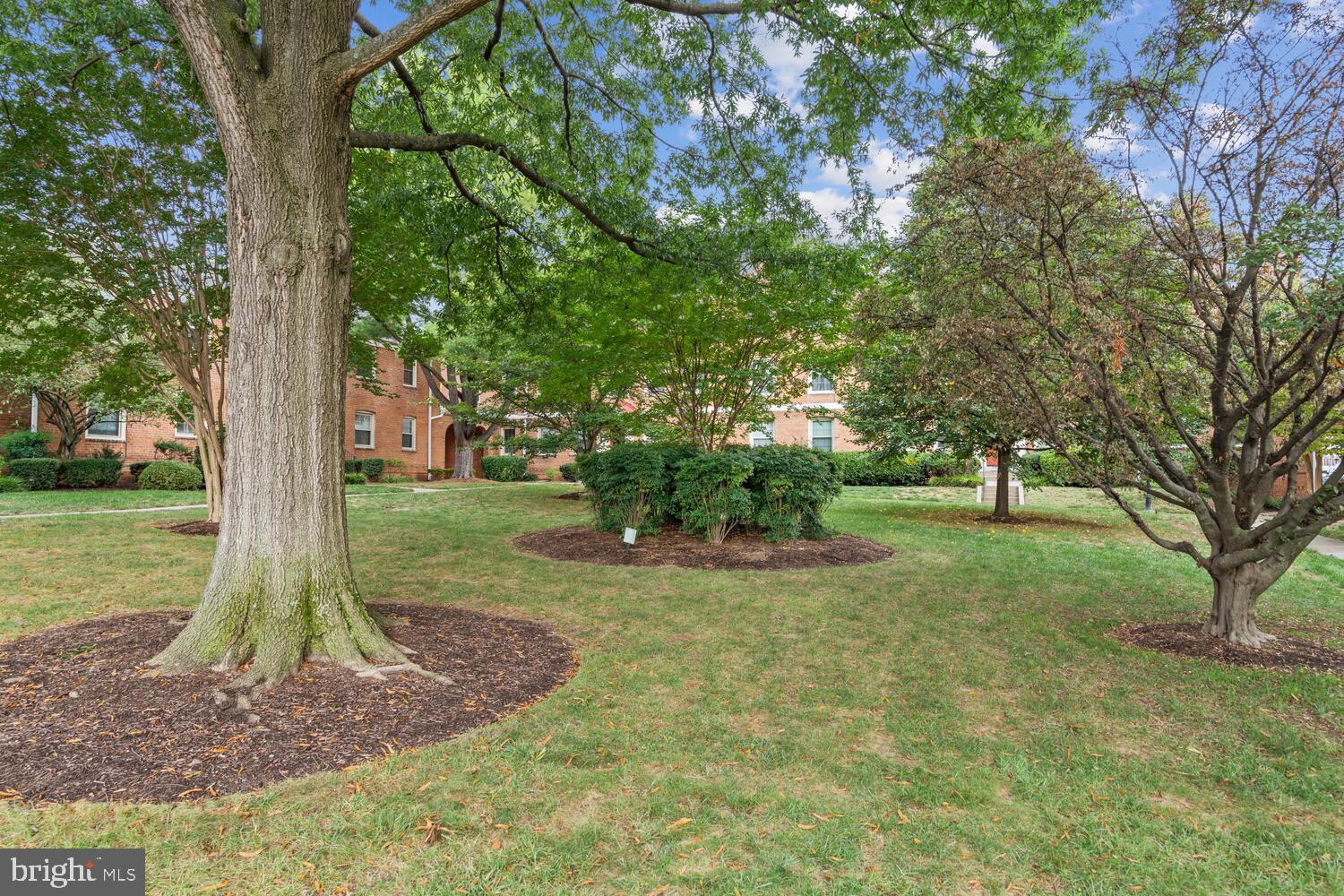 2807 ARLINGTON BLVD #143