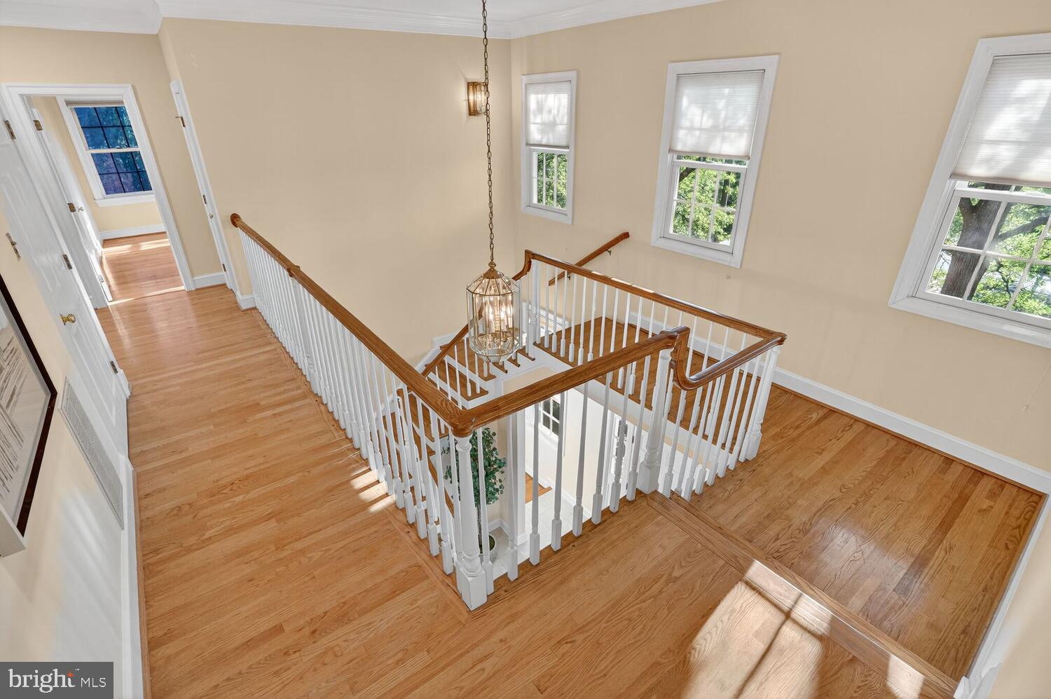 2053 MAYFAIR MCLEAN COURT