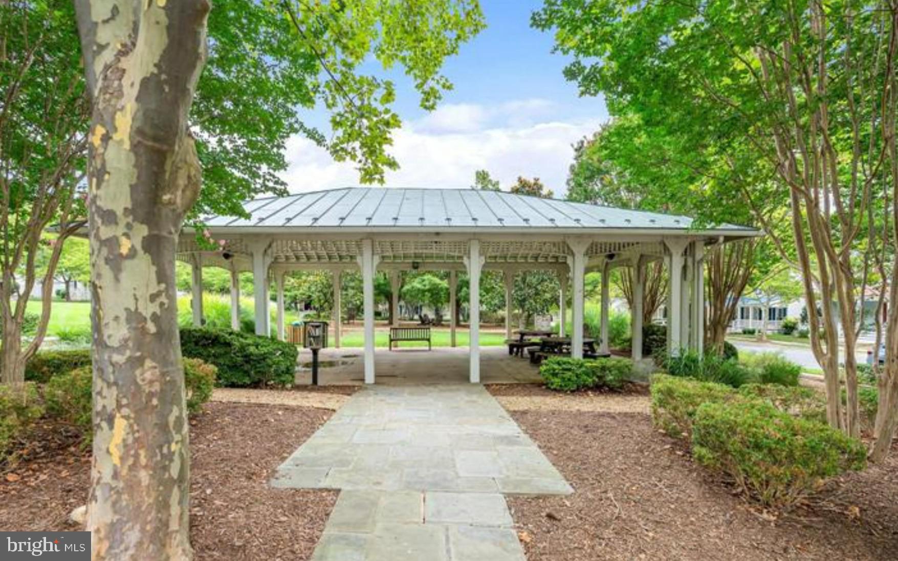 20230 Macglashan Ter #2107