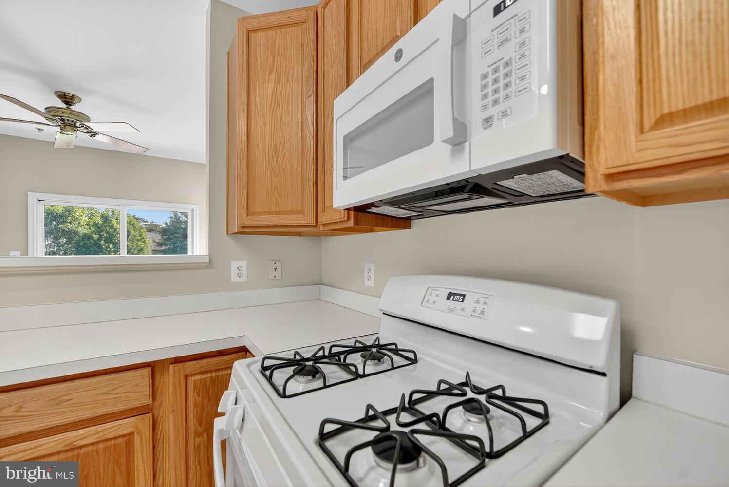 20230 Macglashan Ter #2107