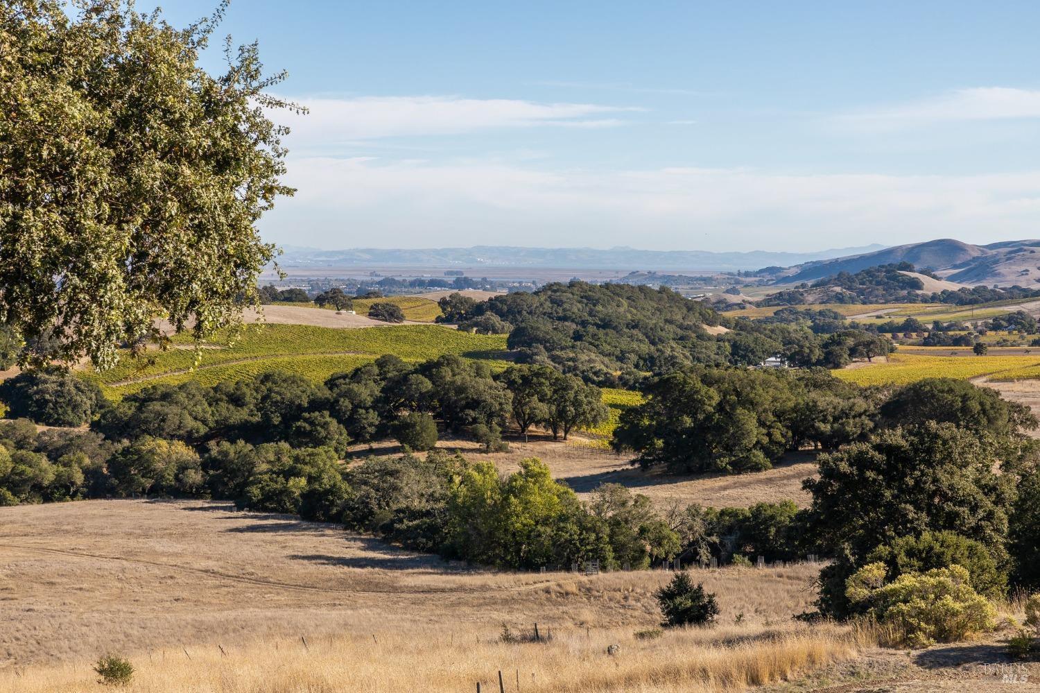 2980 White Alder Avenue