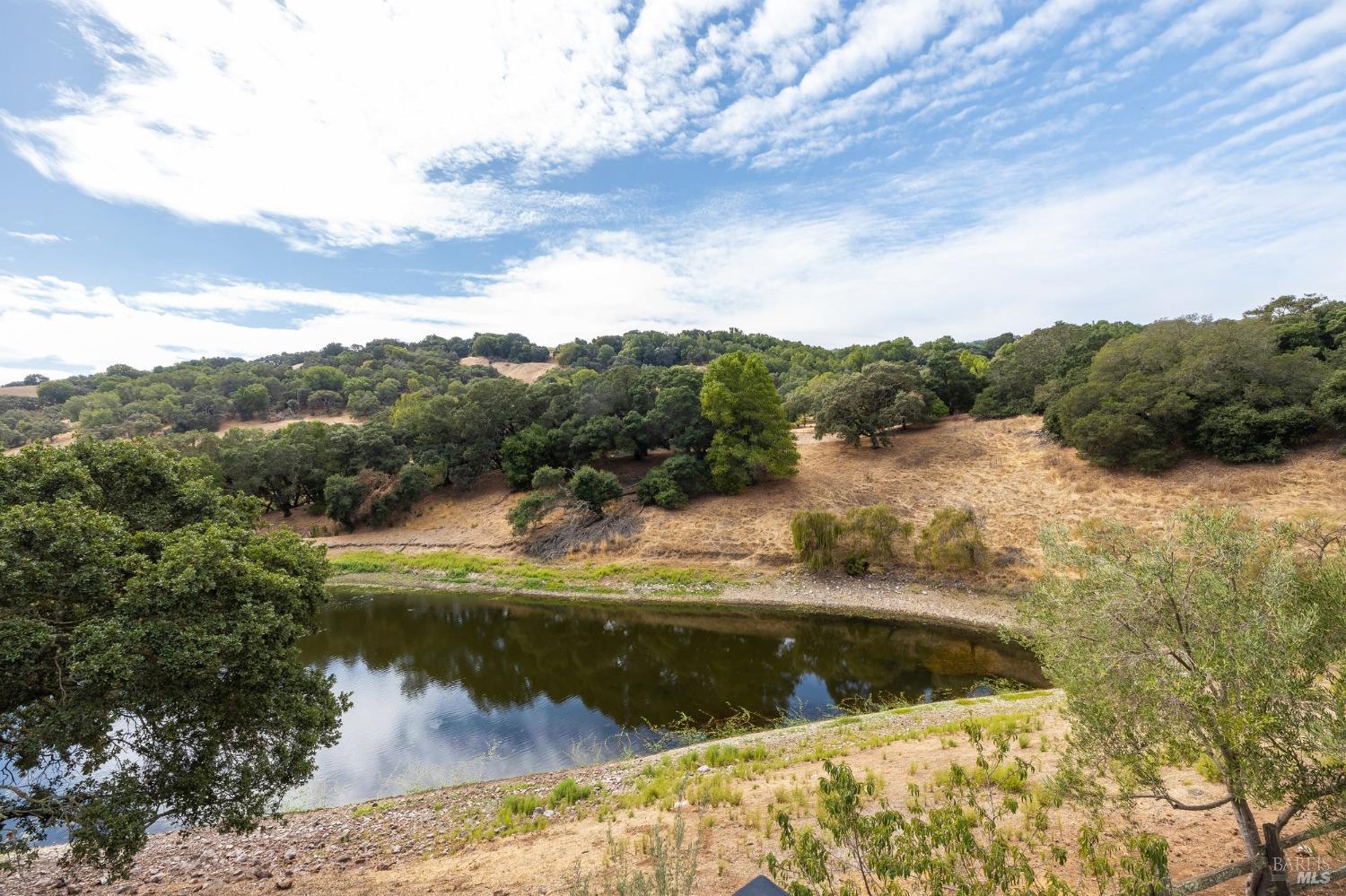 2980 White Alder Avenue