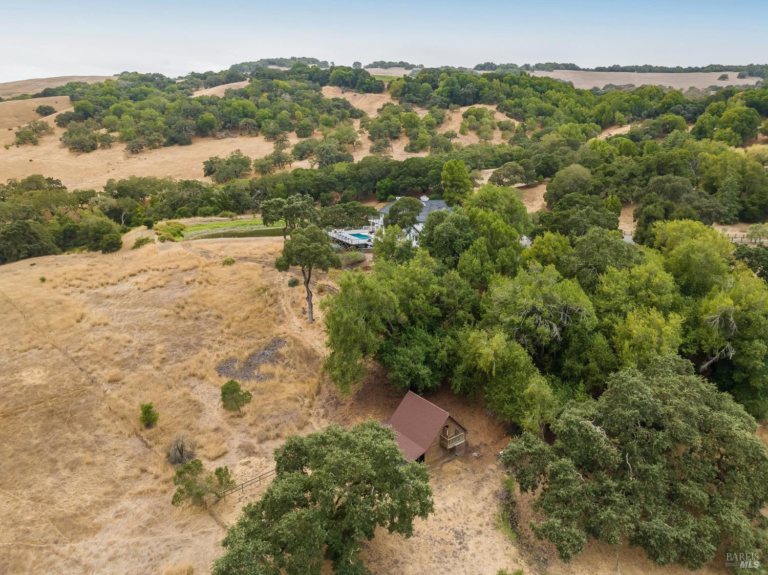 2980 White Alder Avenue