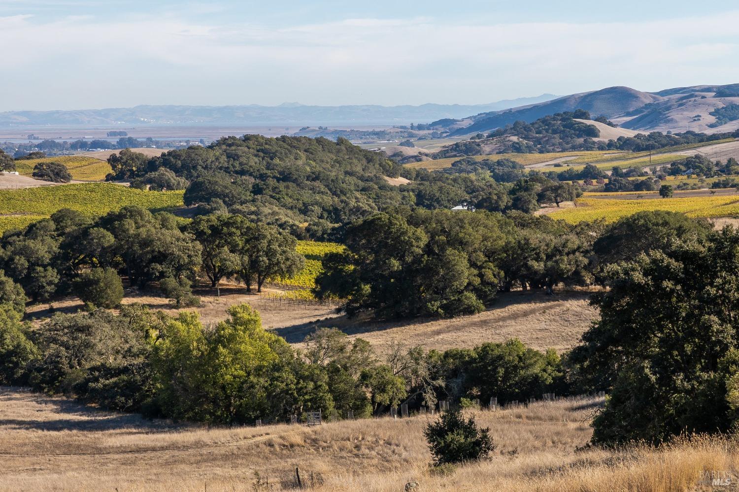 2980 White Alder Avenue