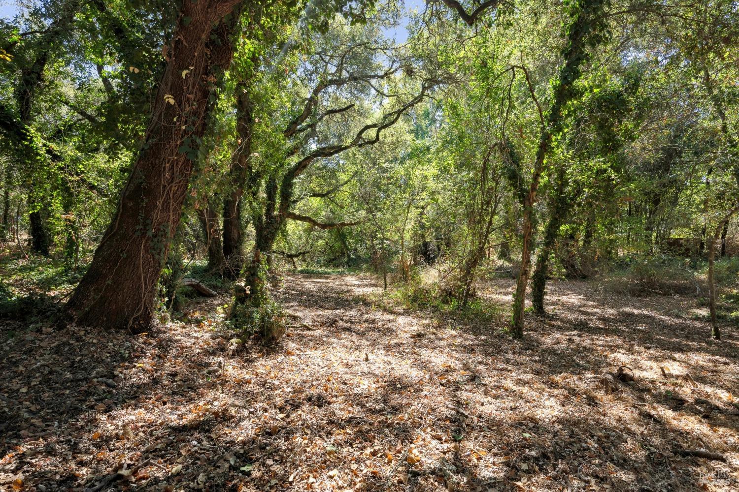 2035 Thornsberry Road