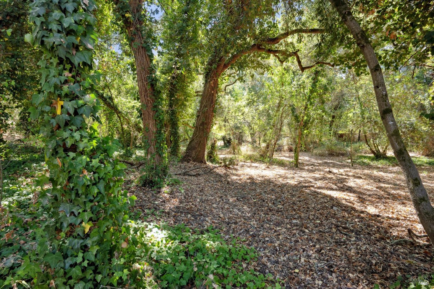 2035 Thornsberry Road