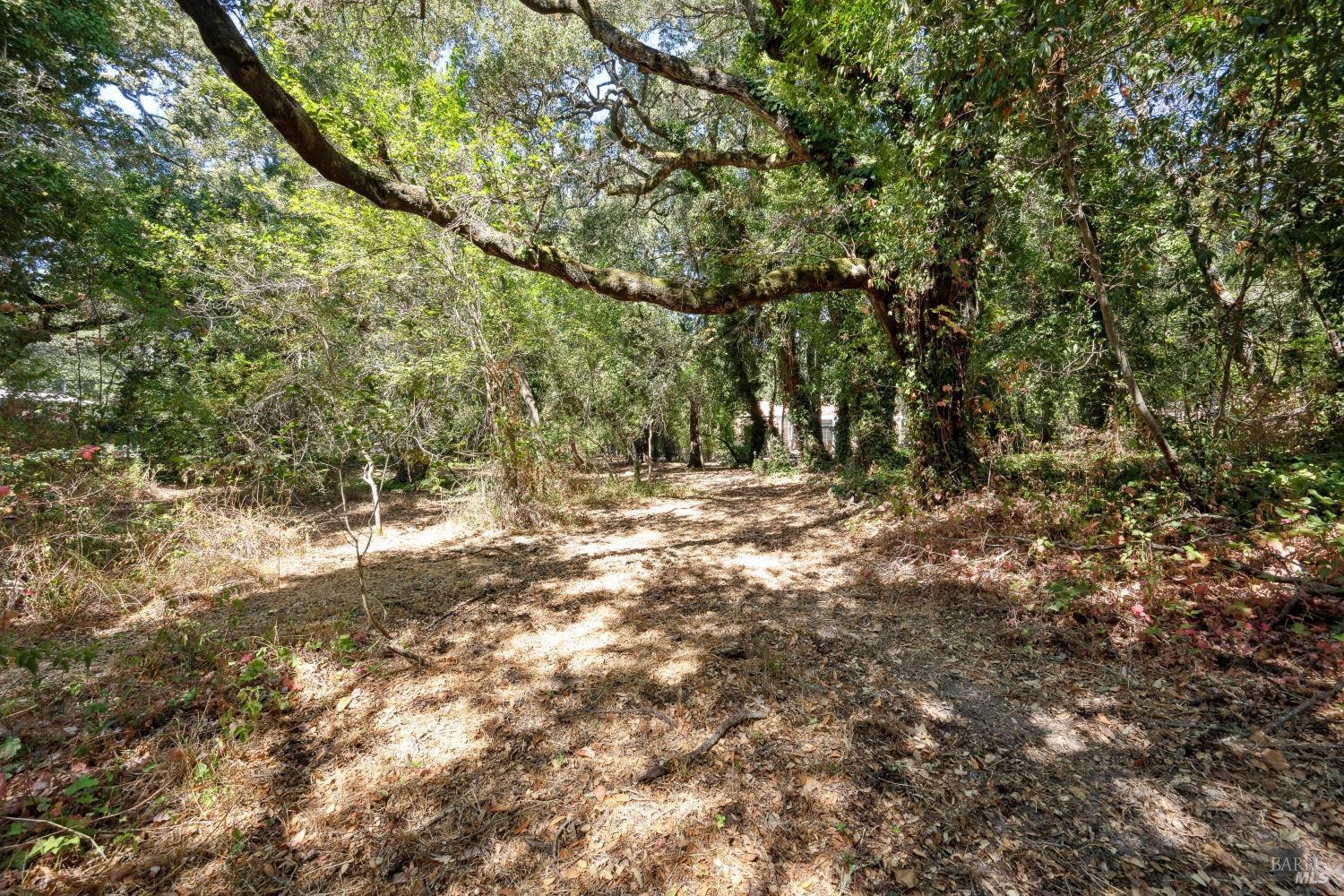 2035 Thornsberry Road