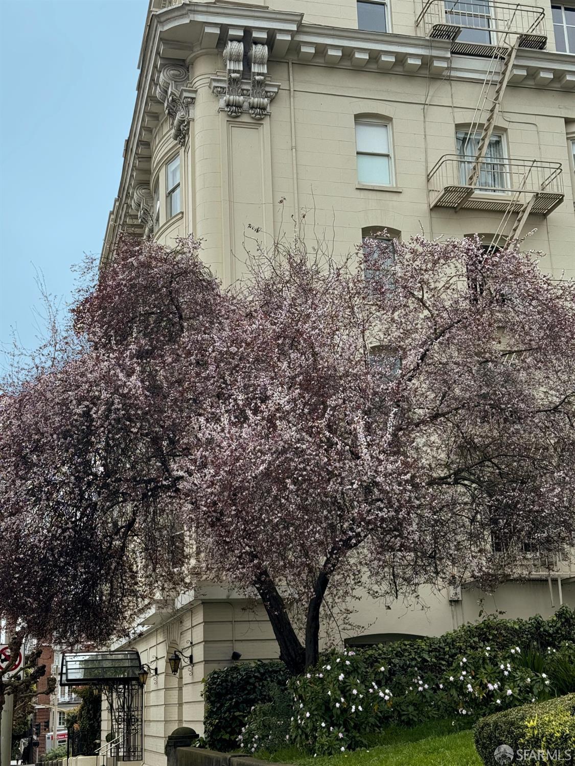 1925 Gough Street # 22