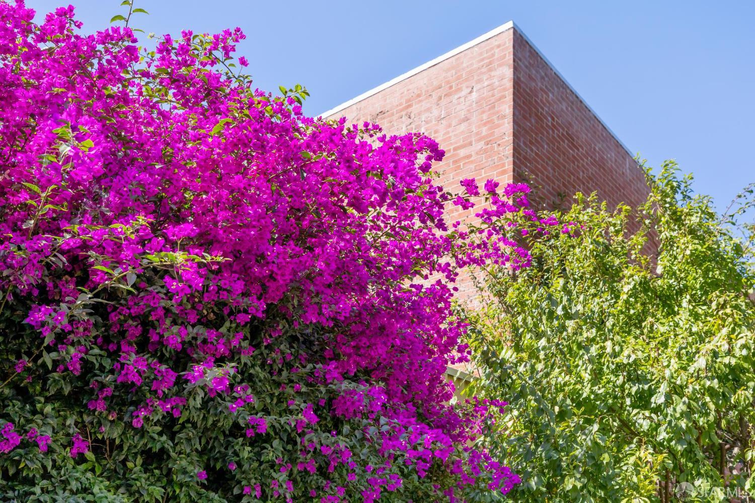 372 Francisco Street, San Francisco