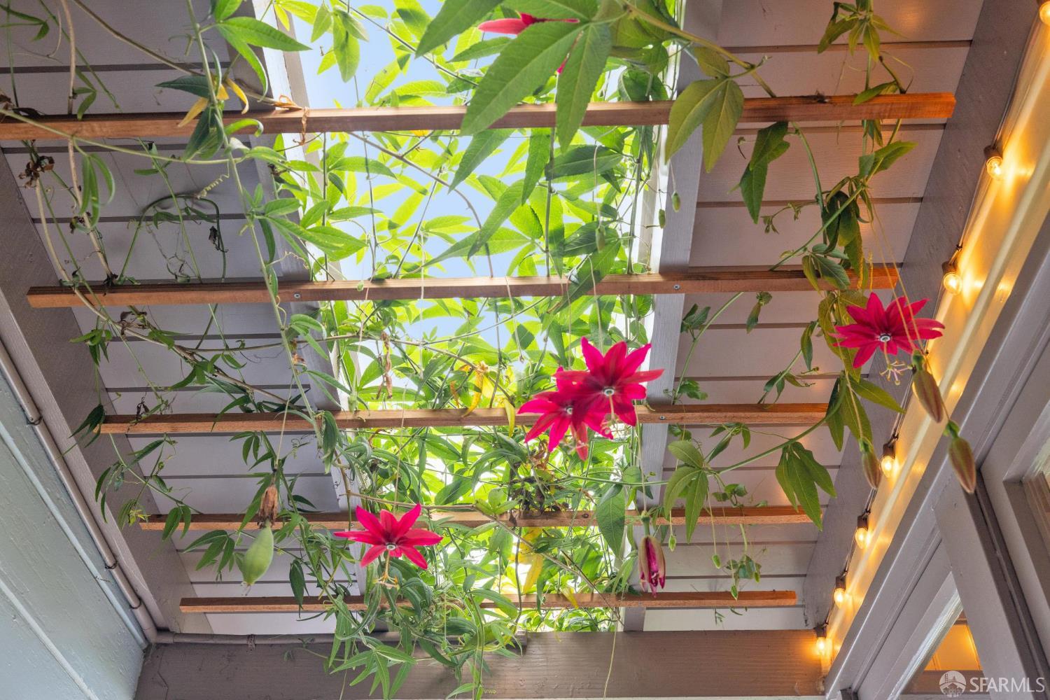 114 Shakespeare Street