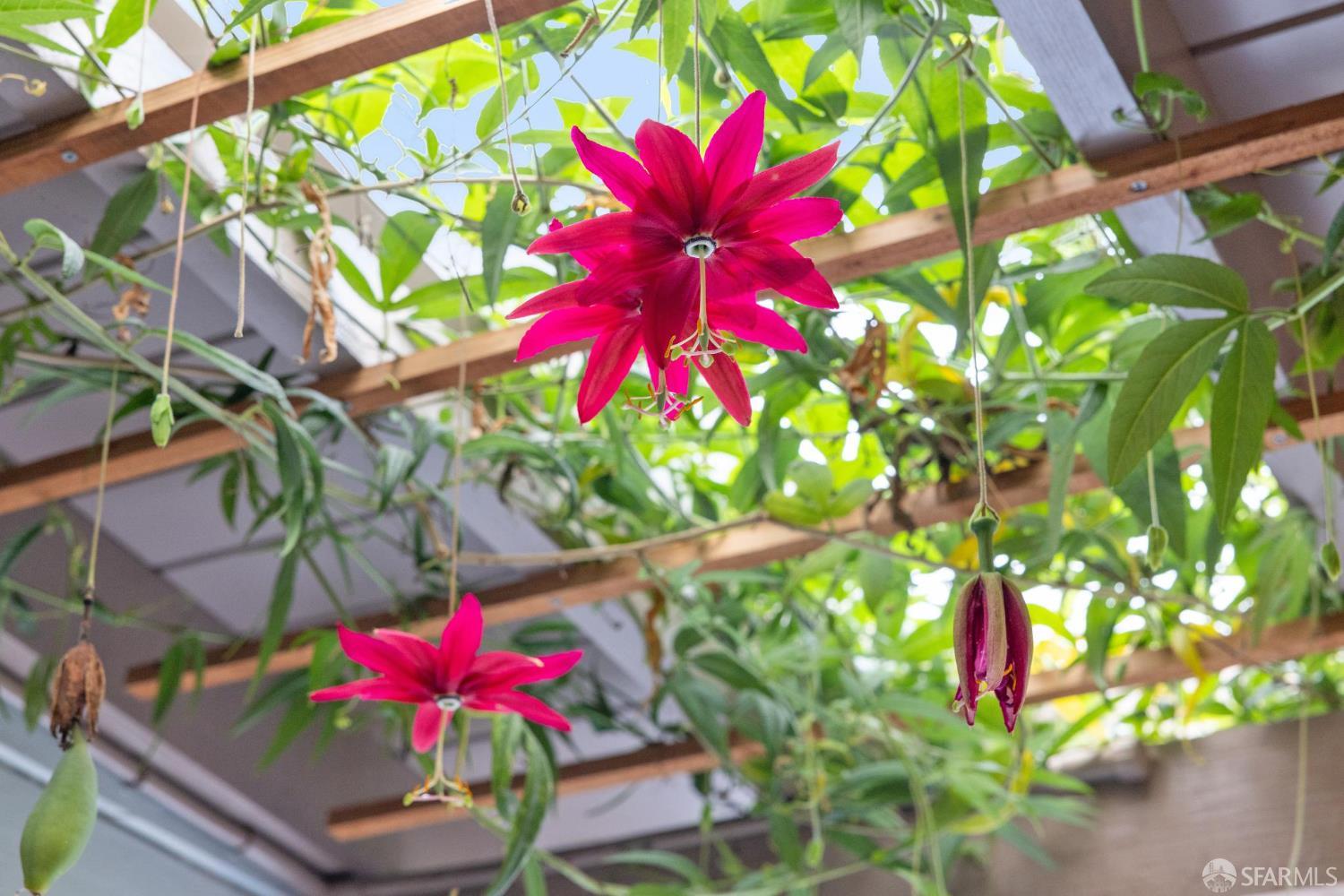 114 Shakespeare Street