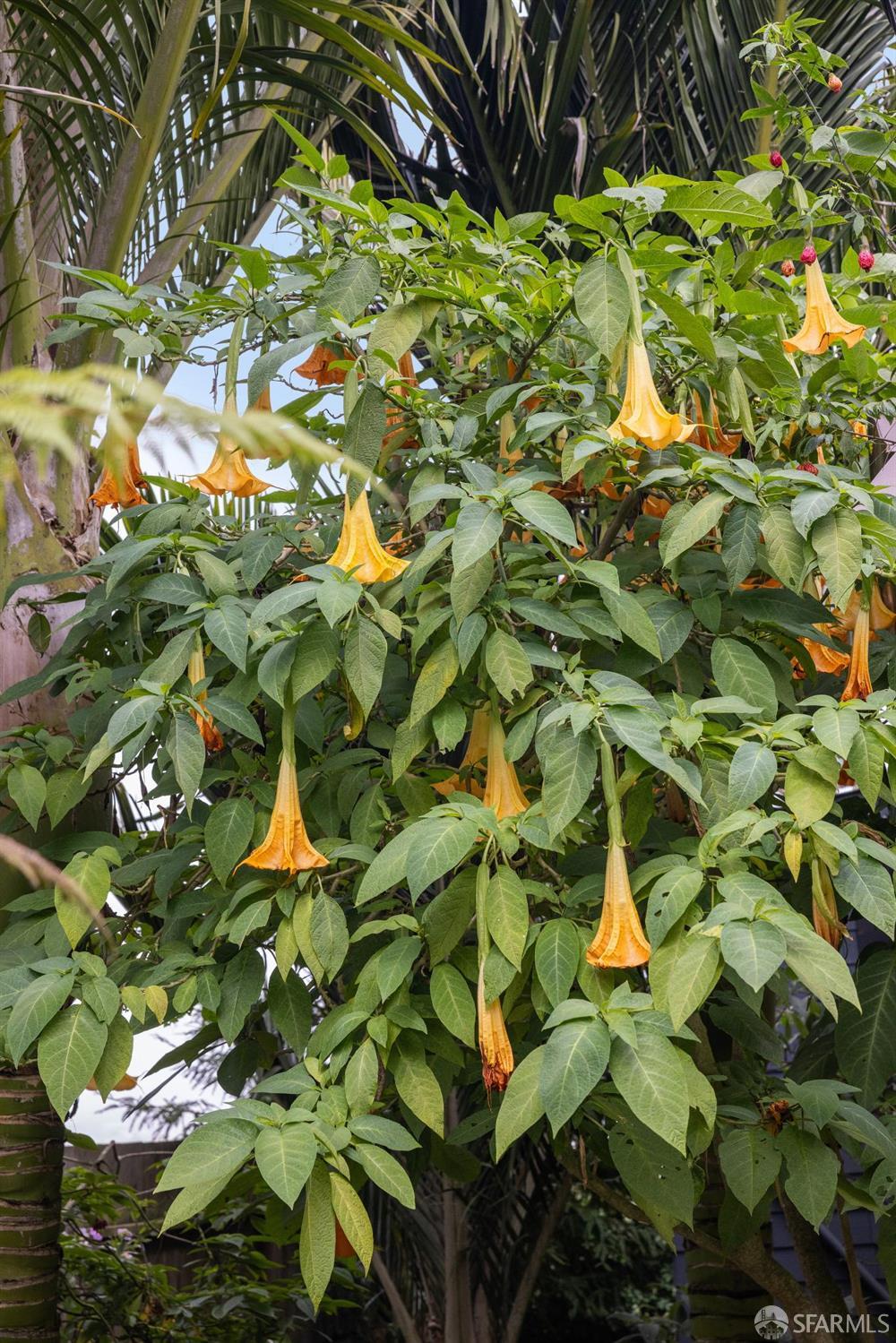 114 Shakespeare Street