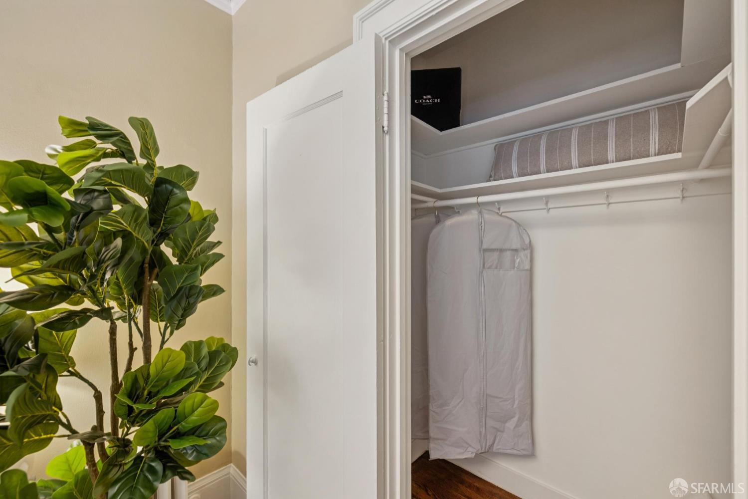 2155 Buchanan Street # 4