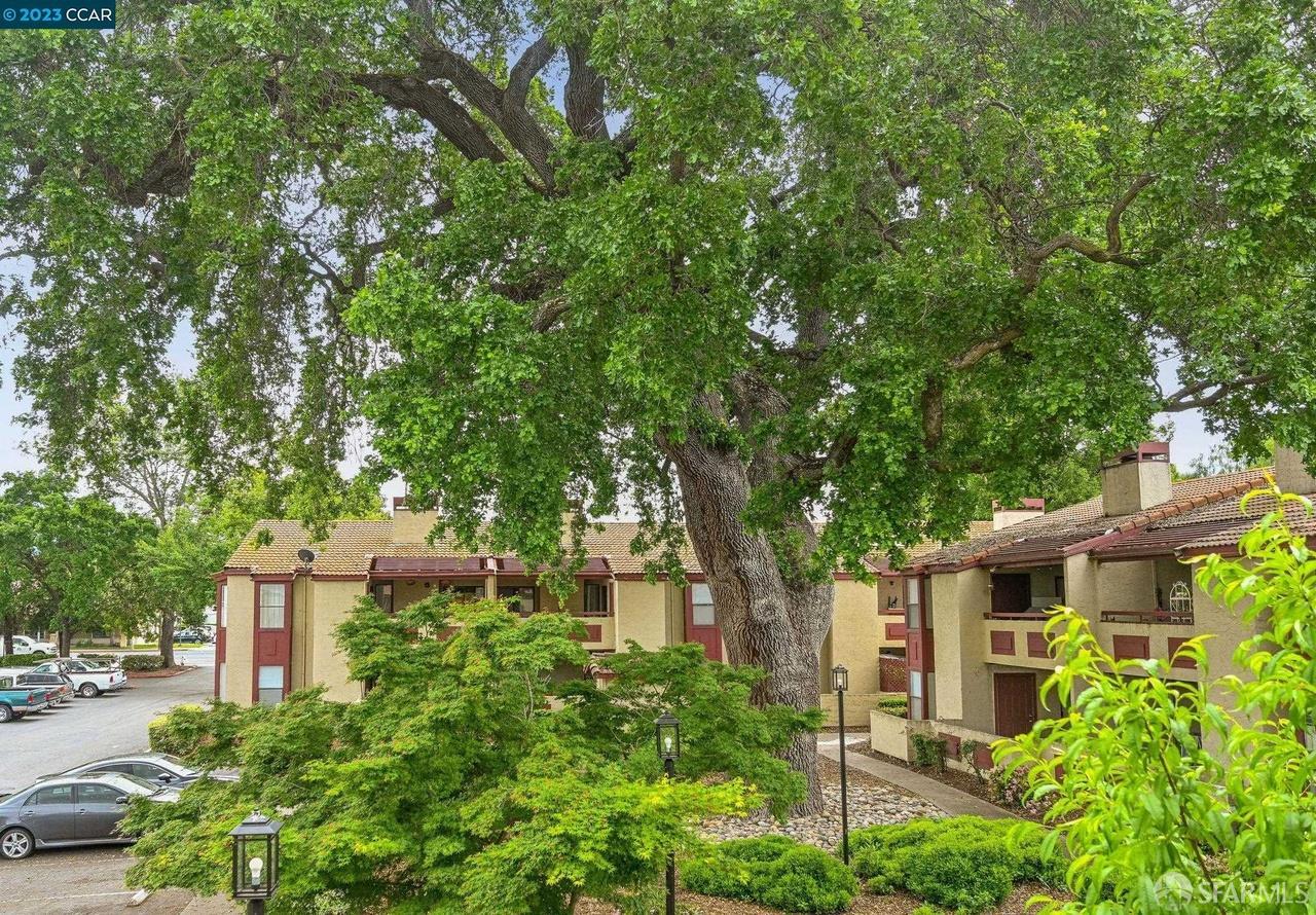 1391 Monument Boulevard # 20