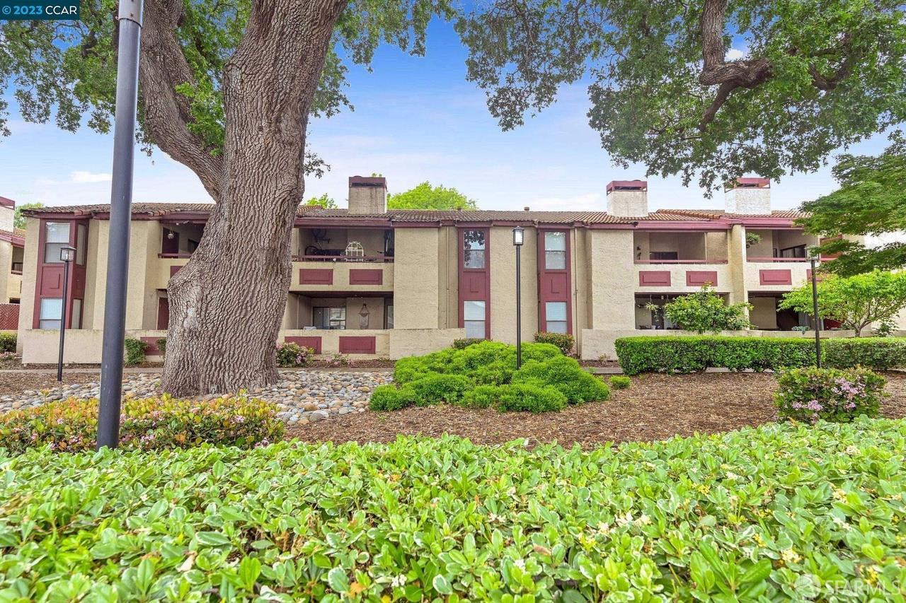 1391 Monument Boulevard # 20