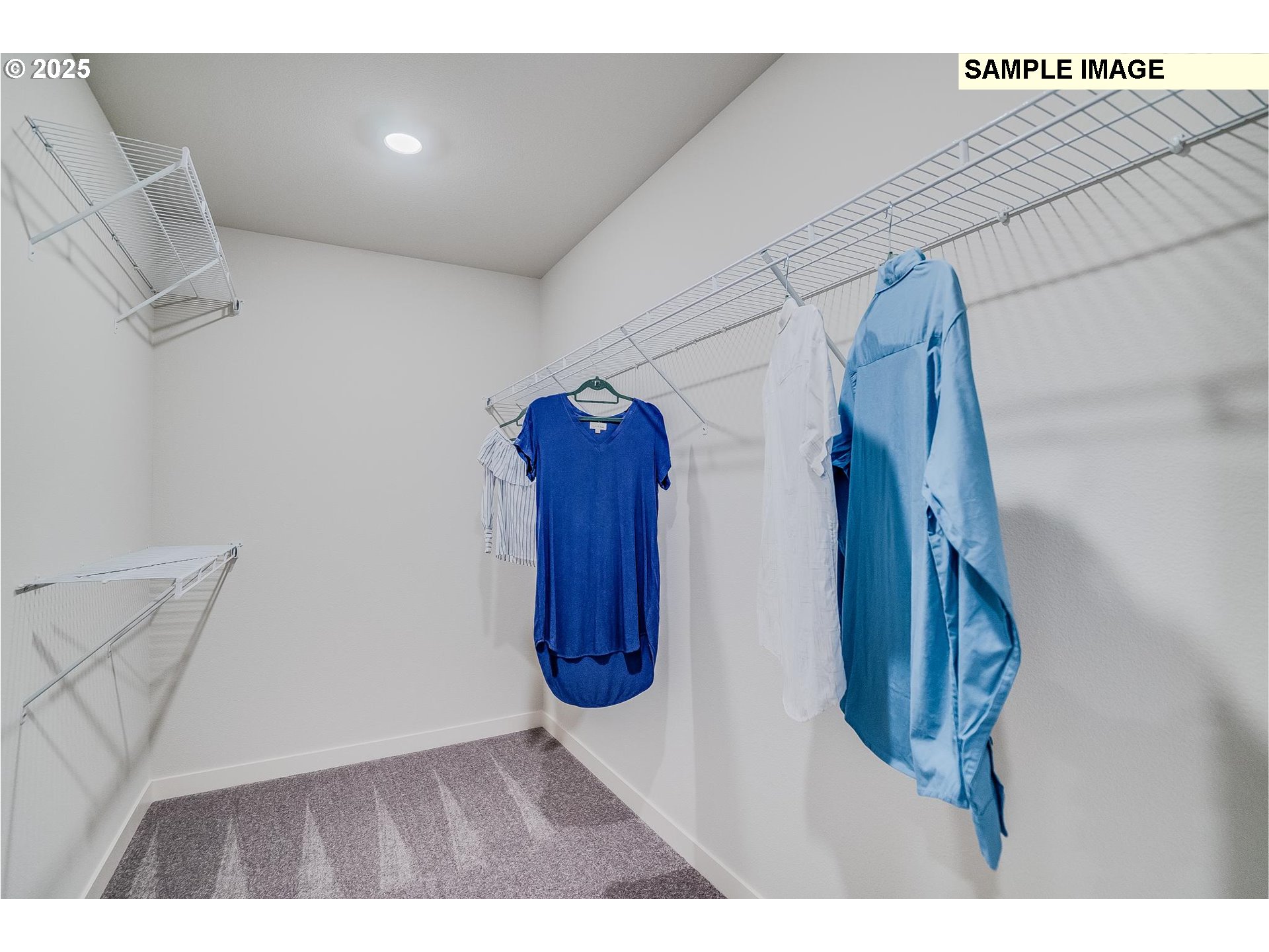 23827 SW BLACK TORTOISE TER