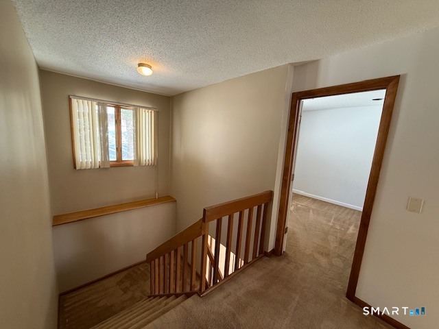 50 Darlene Drive