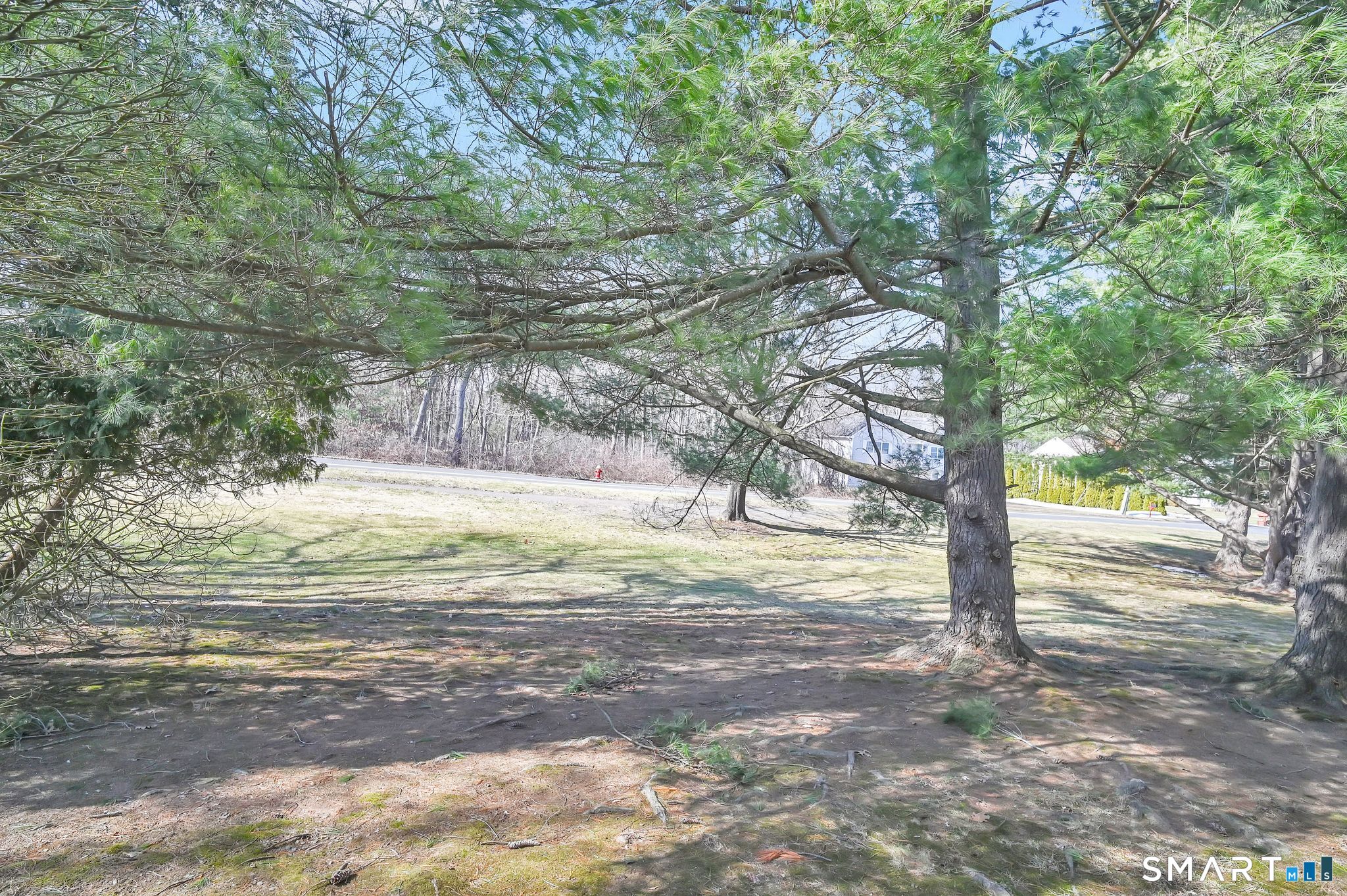 1001 Misty Meadow Lane 1001