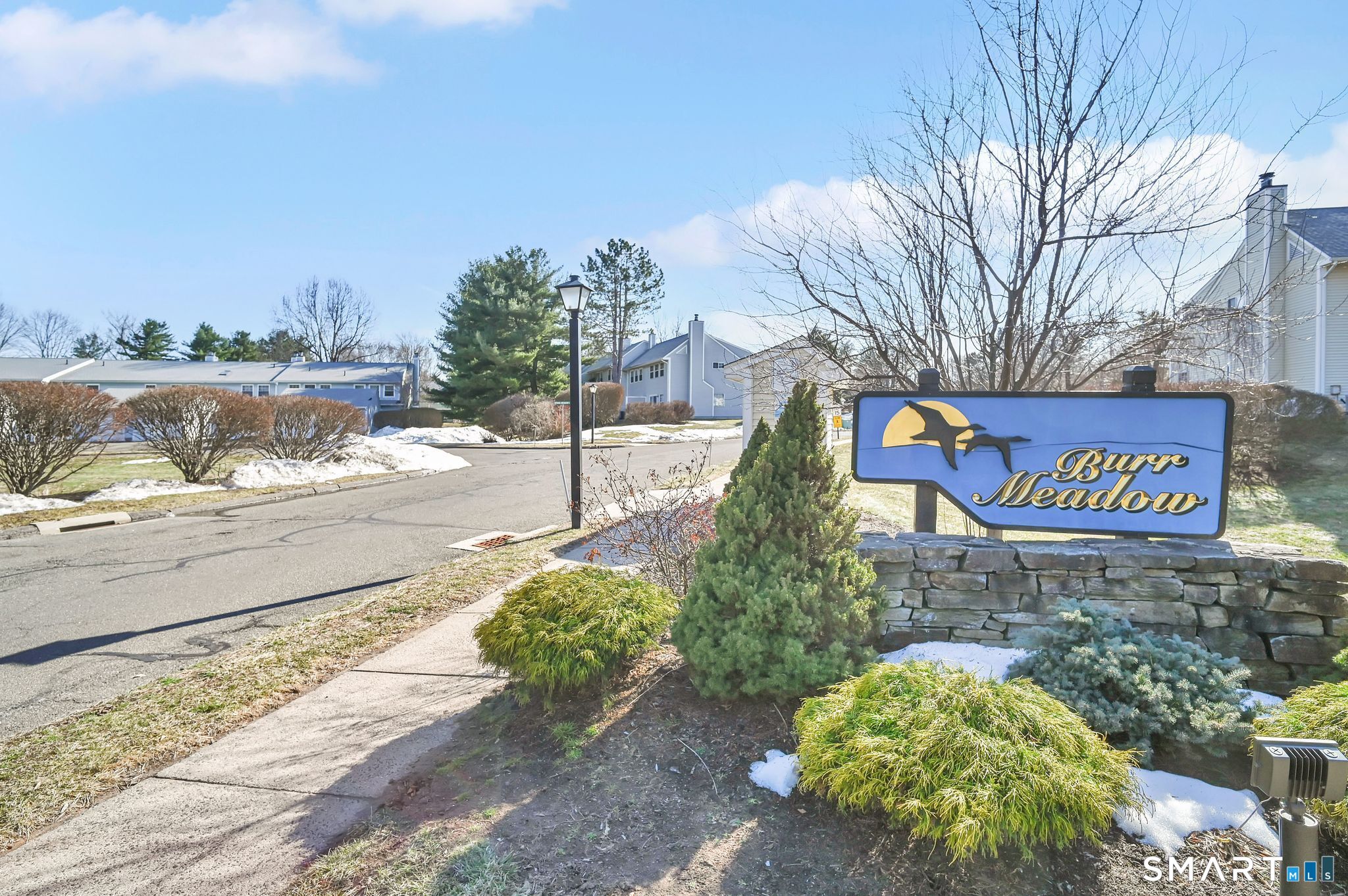 1001 Misty Meadow Lane 1001
