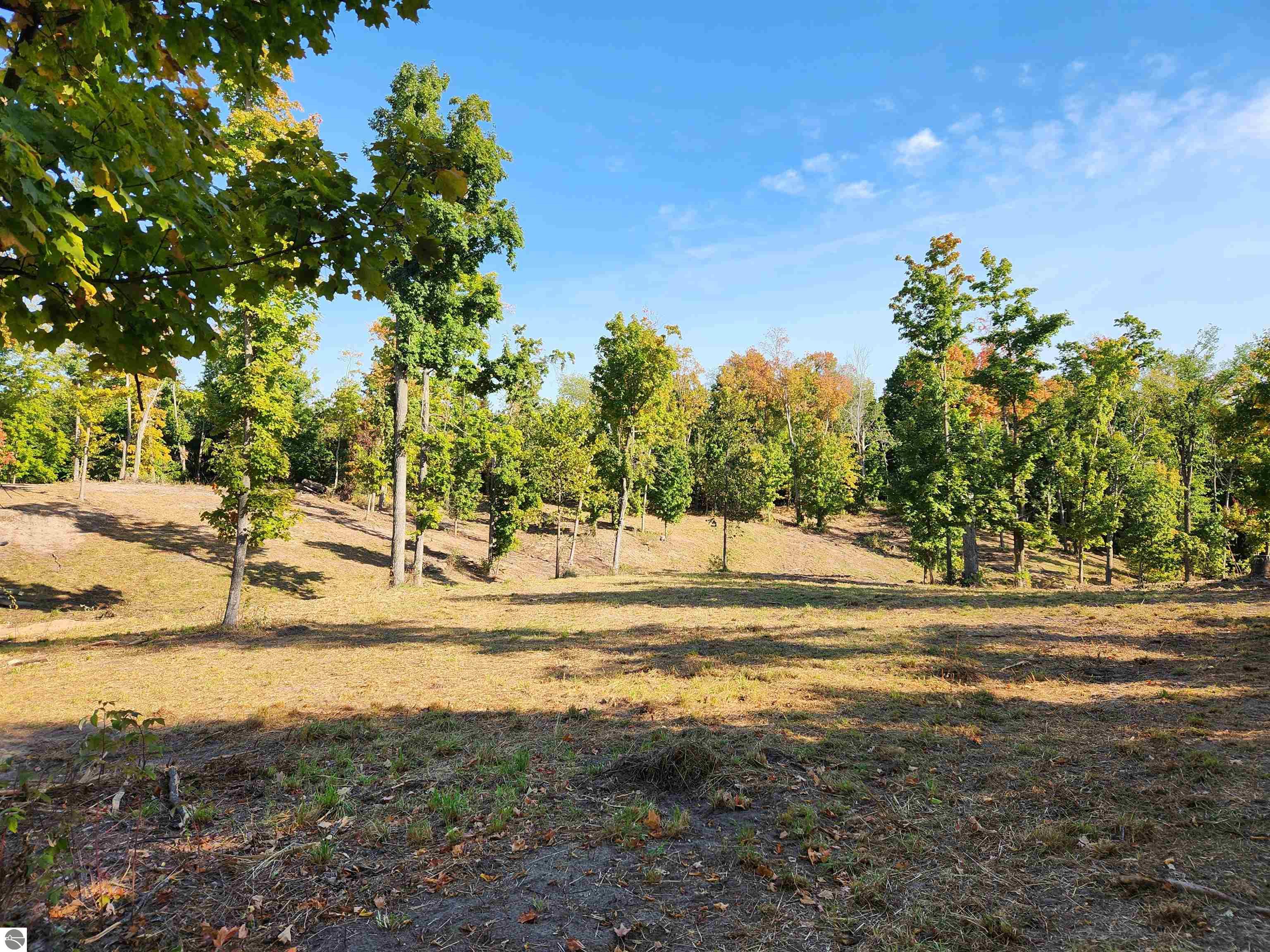 8550 Sunflower Peak