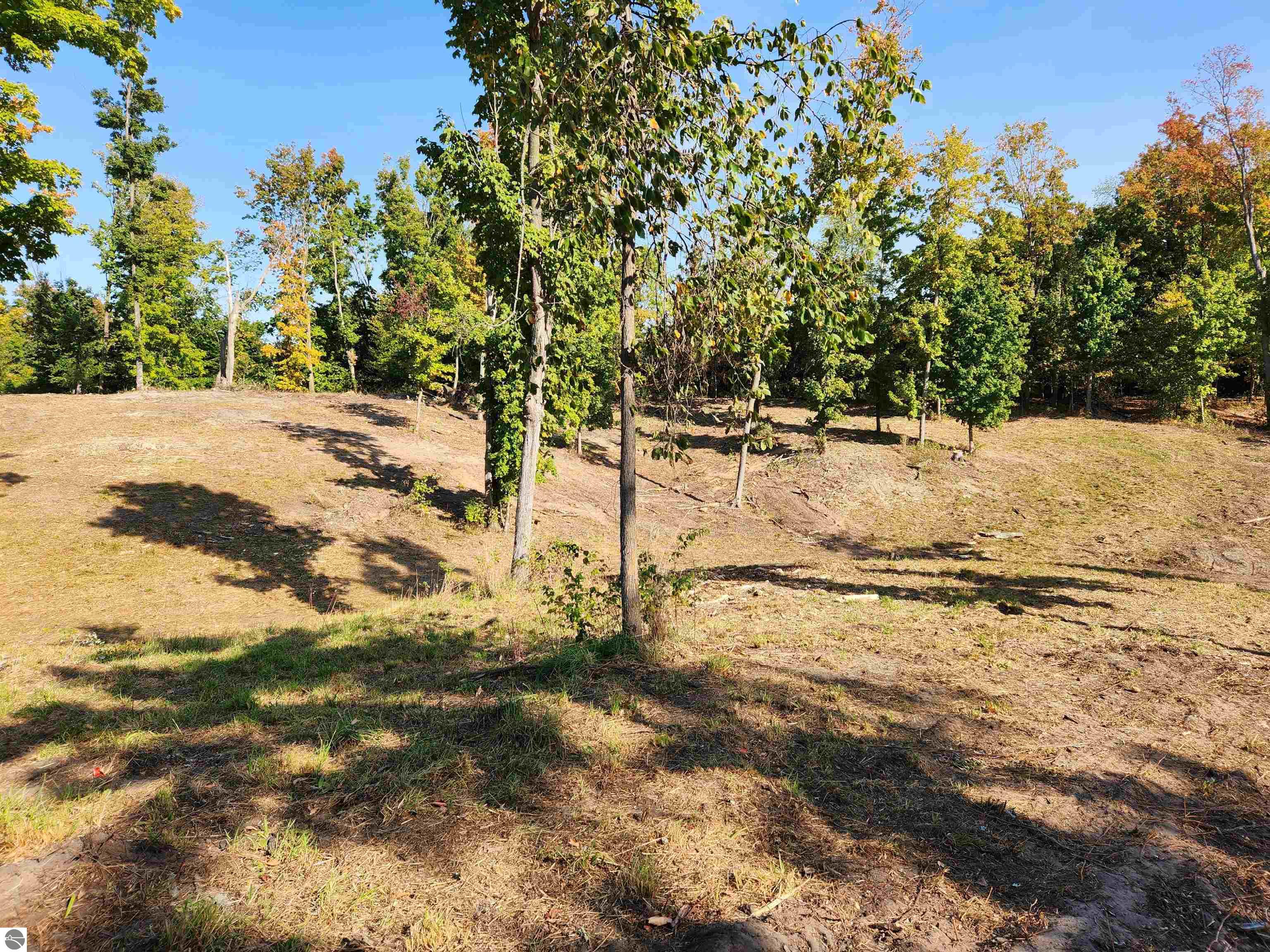 8550 Sunflower Peak
