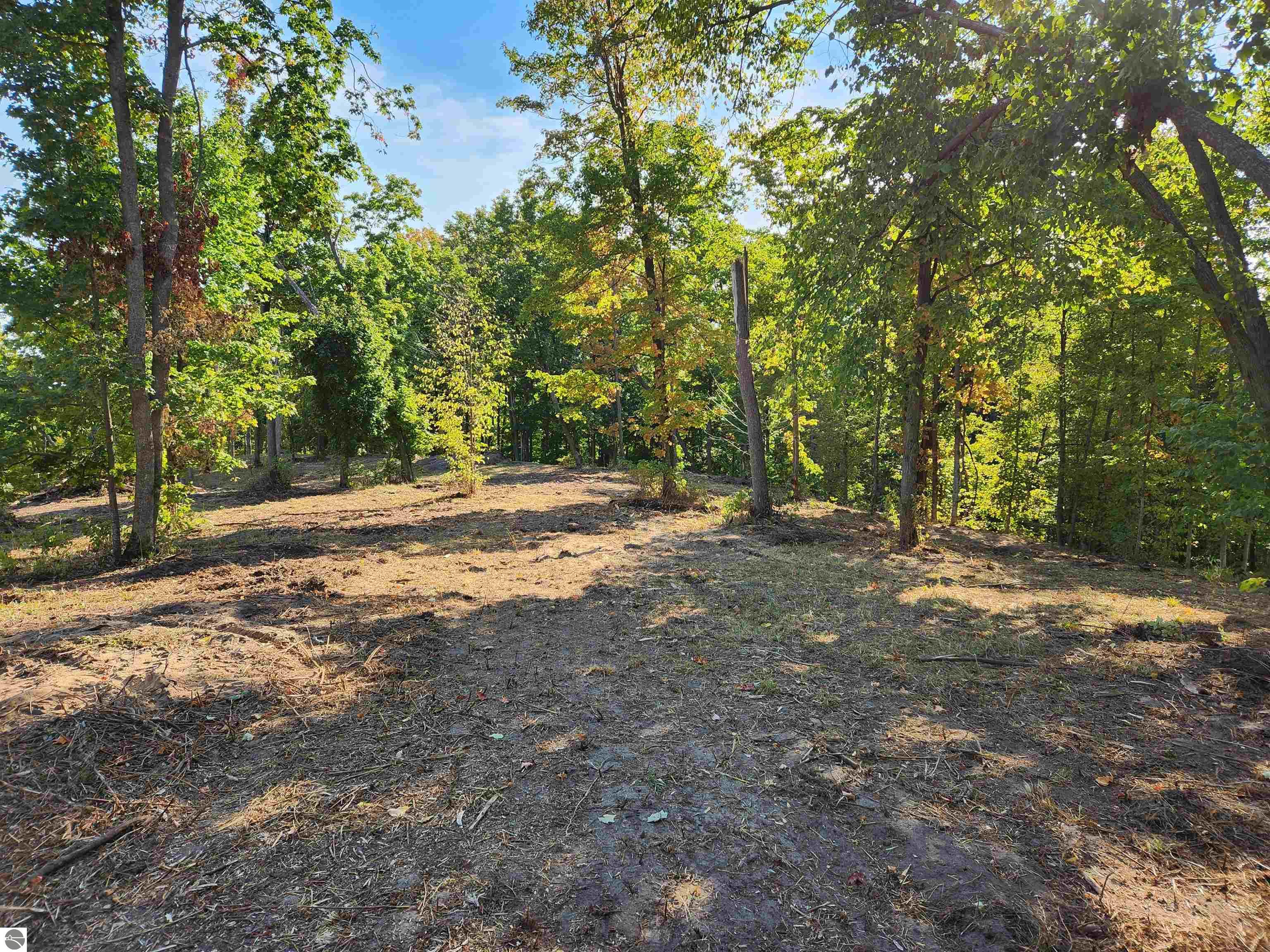 8550 Sunflower Peak