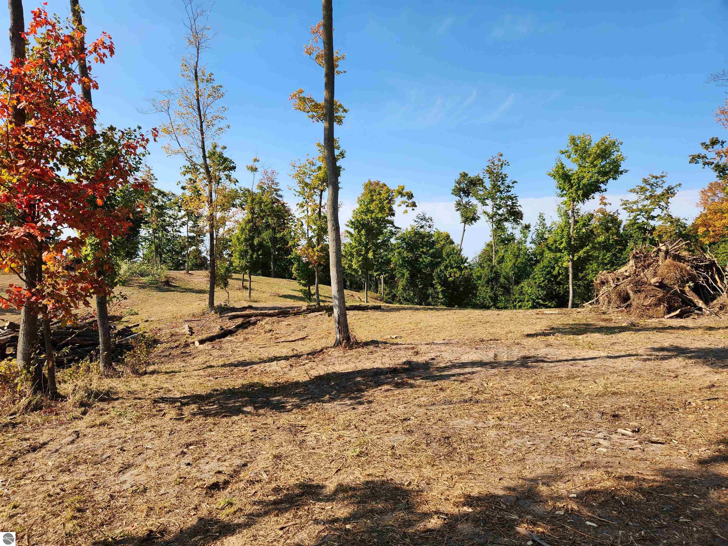 8550 Sunflower Peak