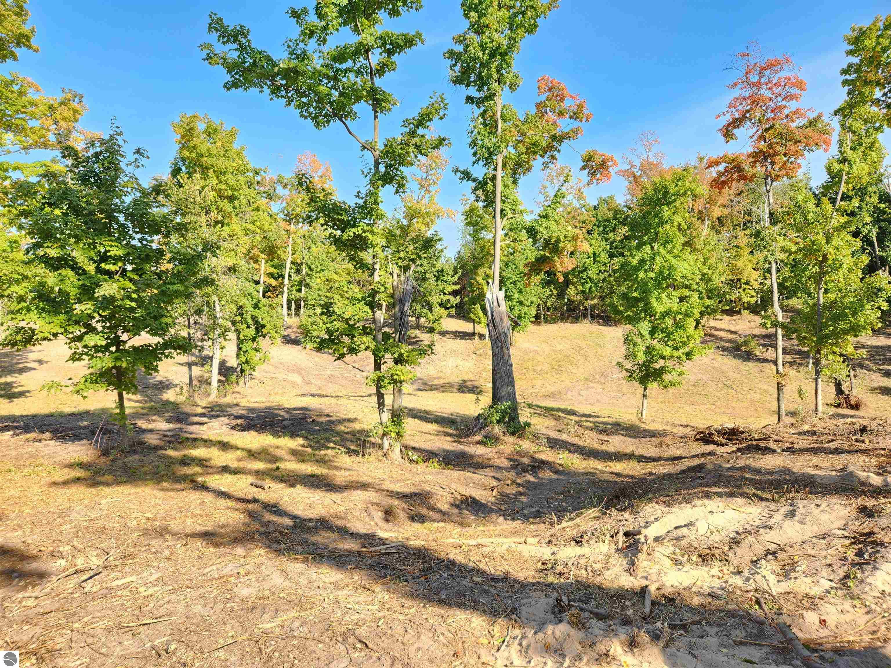 8550 Sunflower Peak