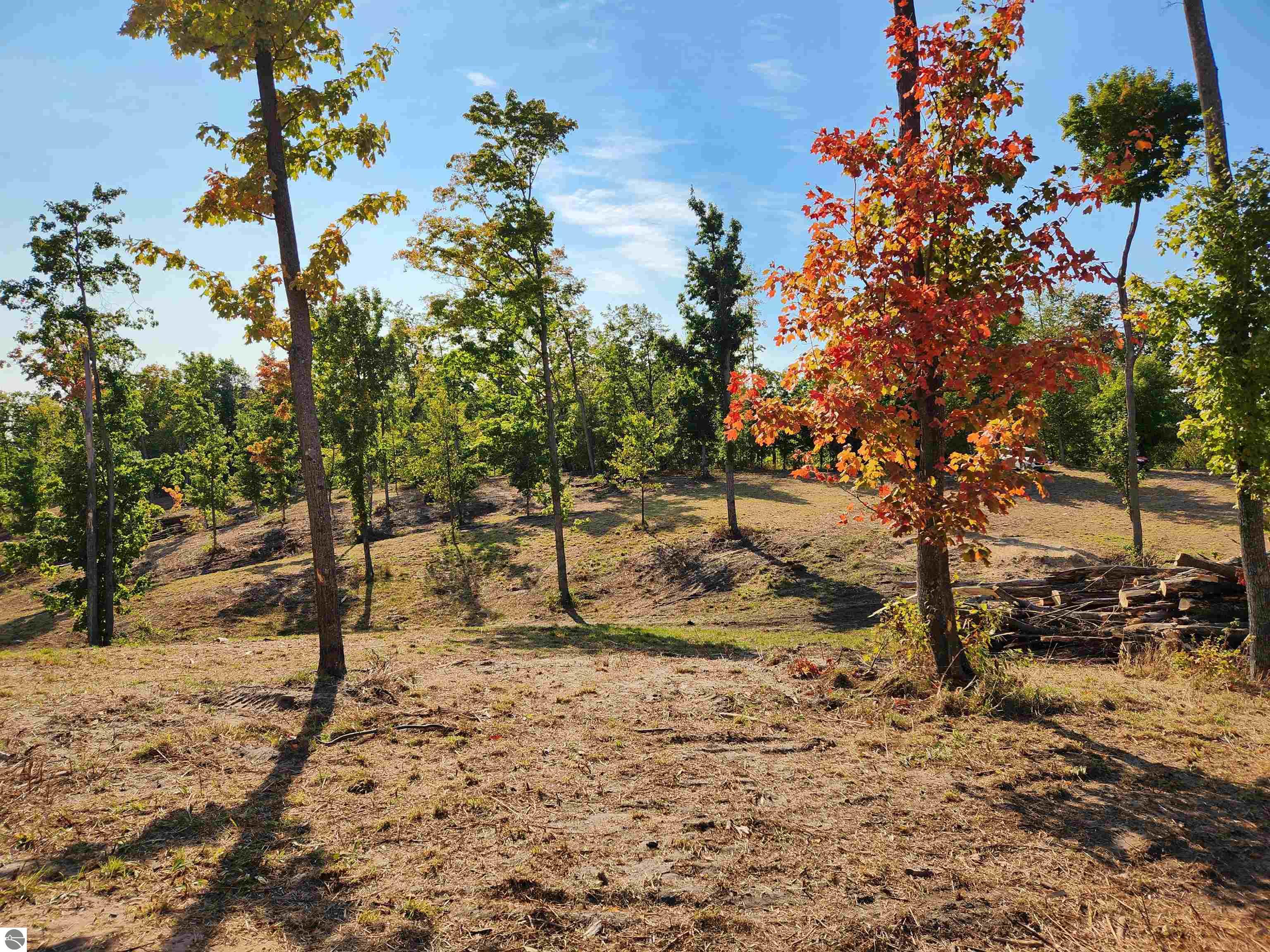 8550 Sunflower Peak