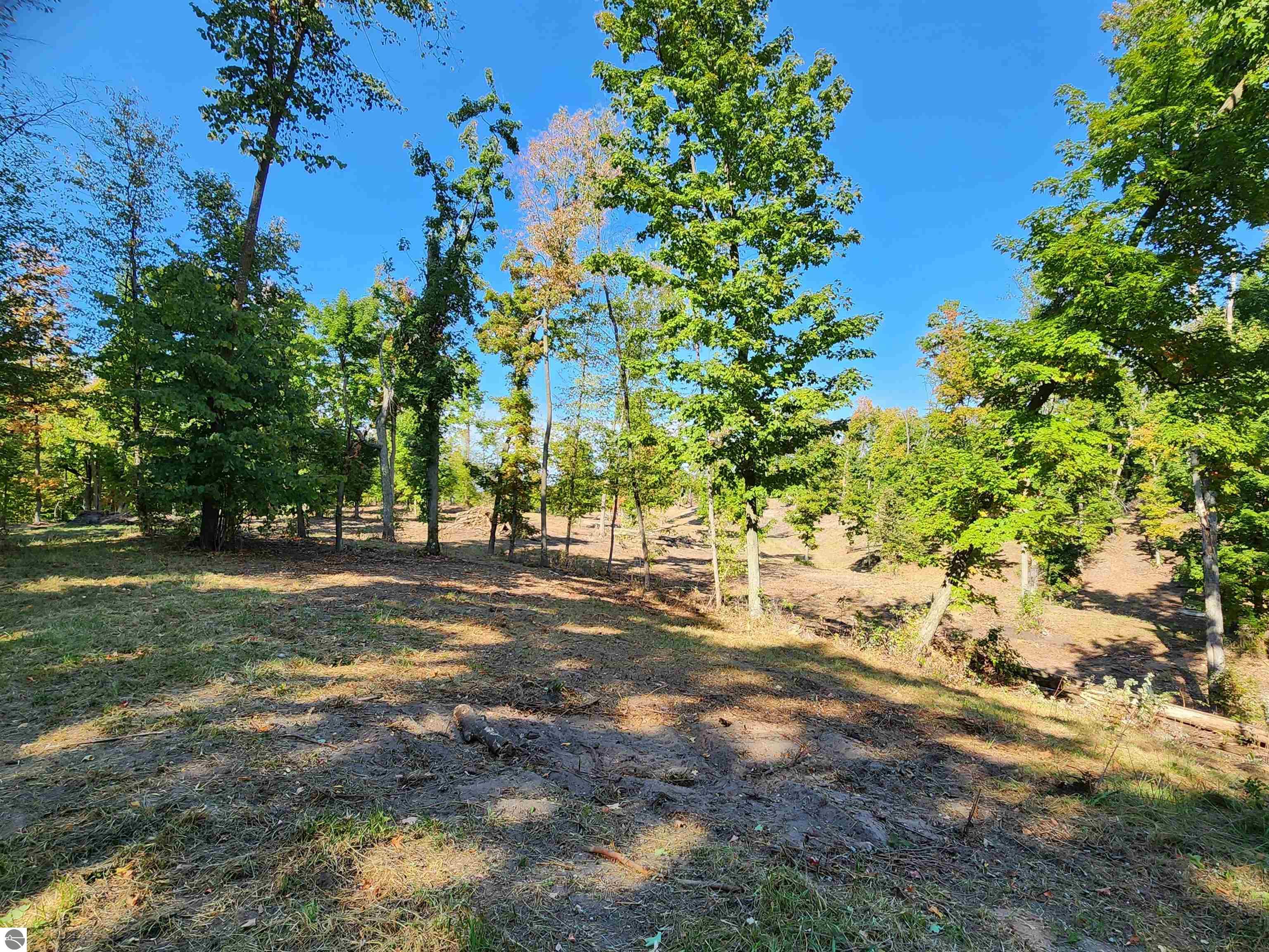8550 Sunflower Peak