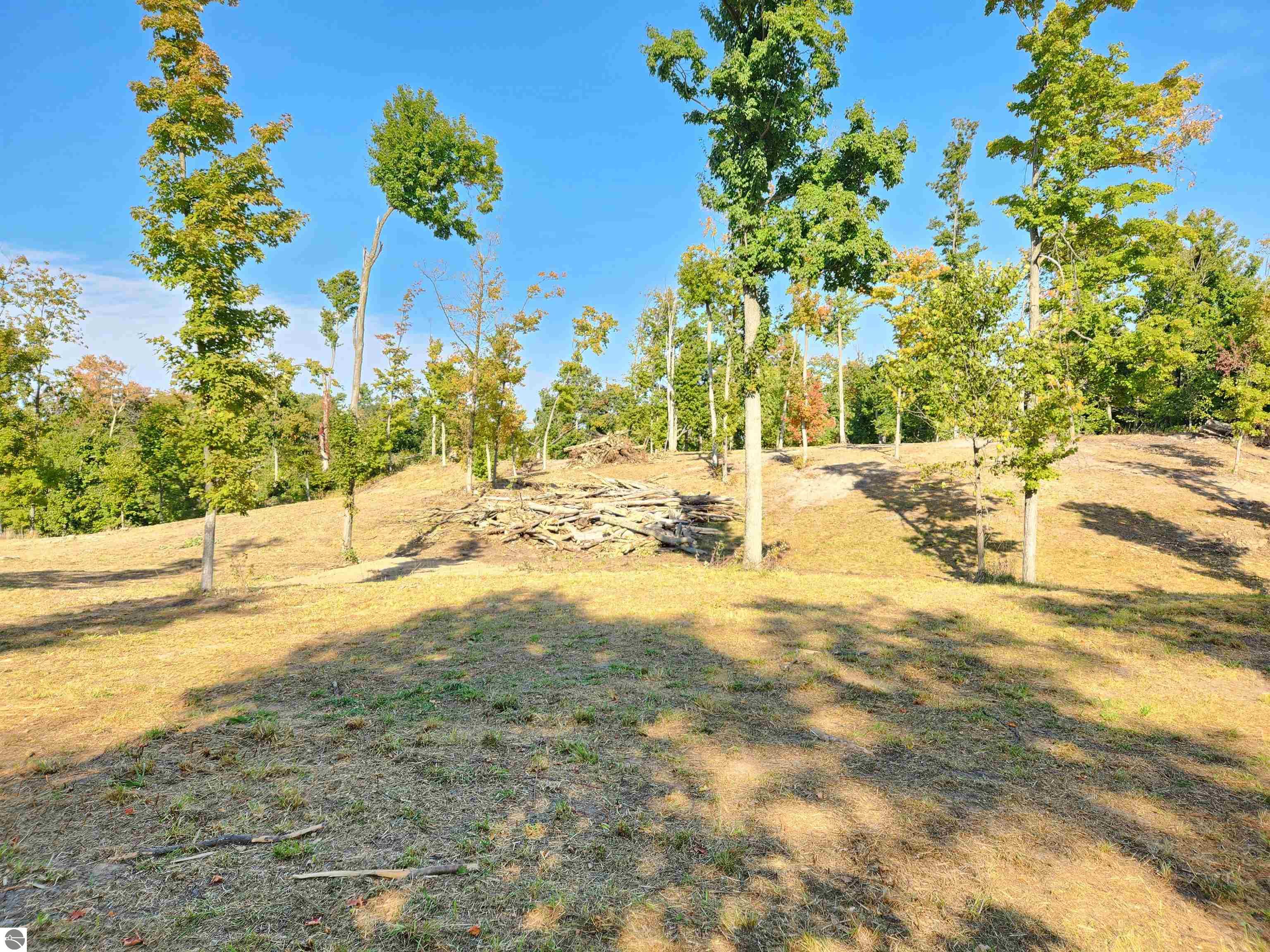 8550 Sunflower Peak