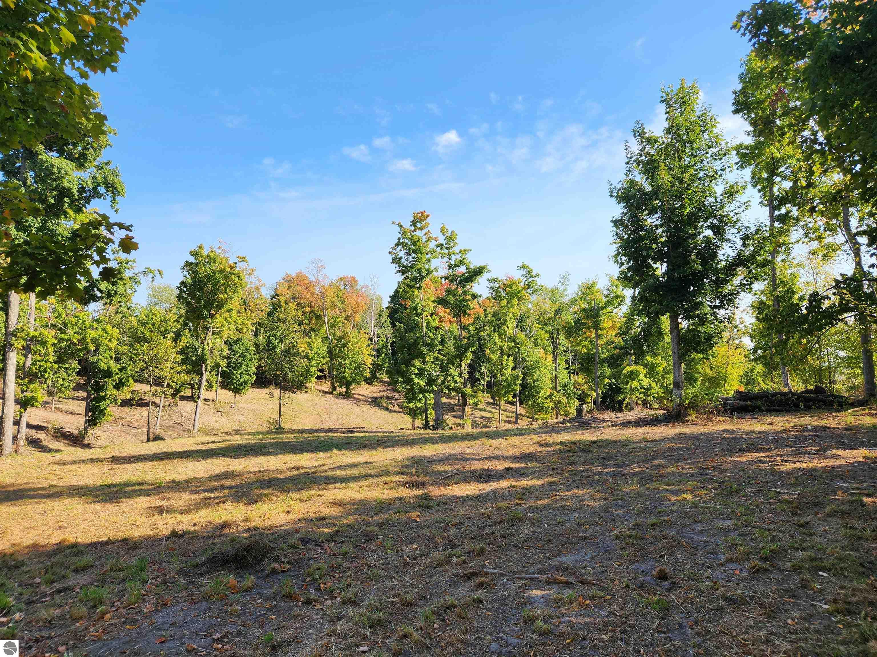 8550 Sunflower Peak