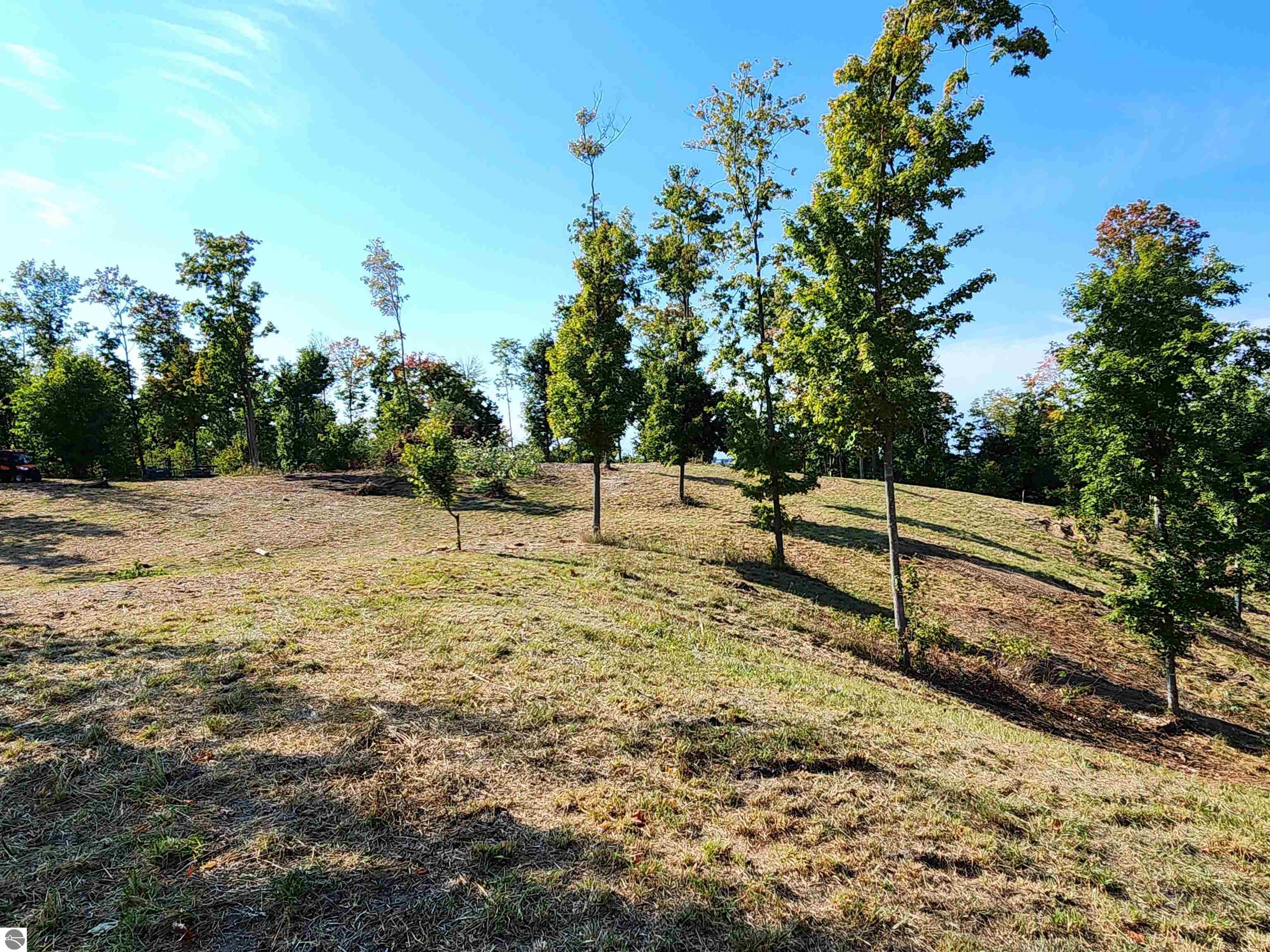 8550 Sunflower Peak