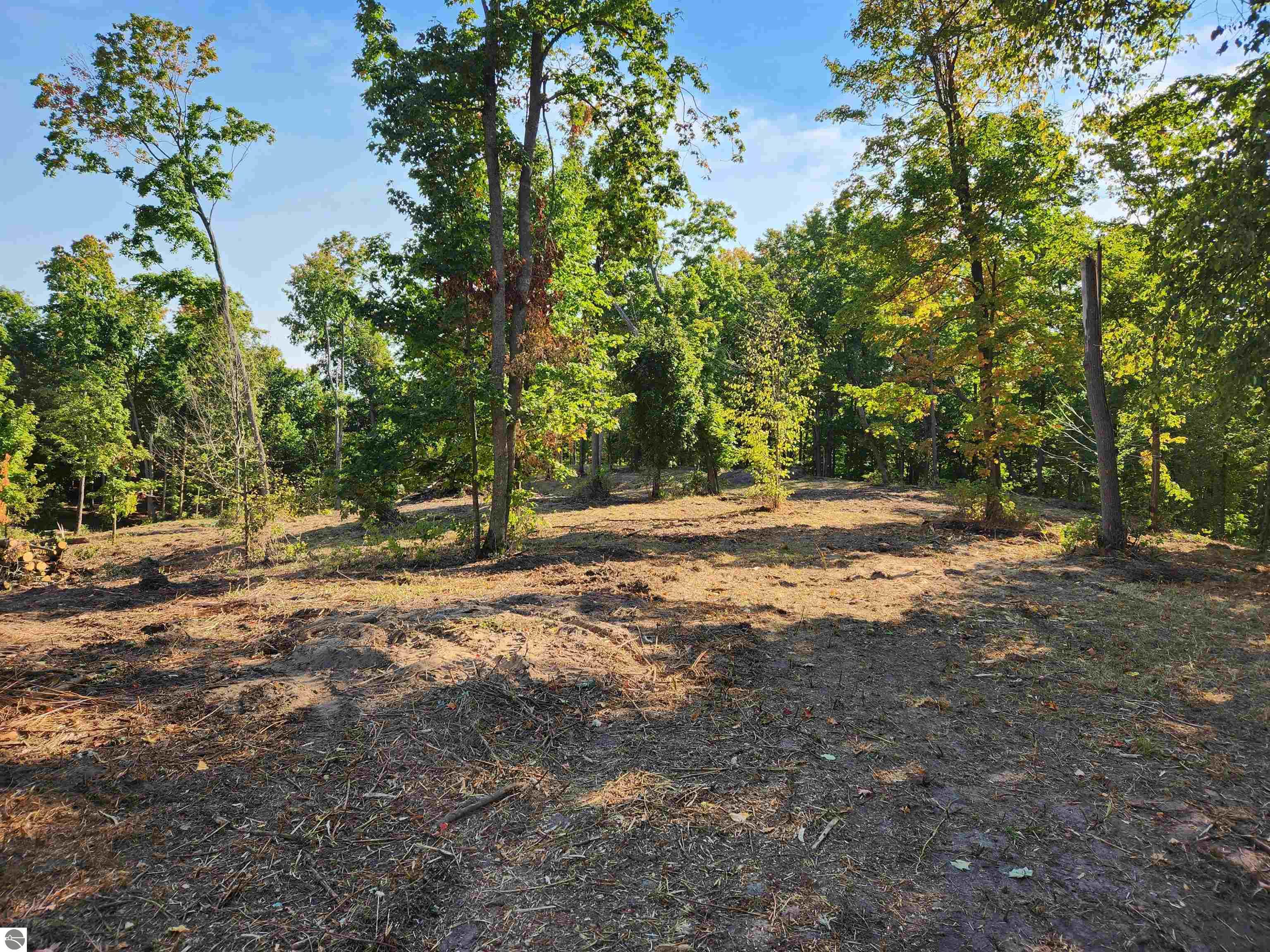 8550 Sunflower Peak