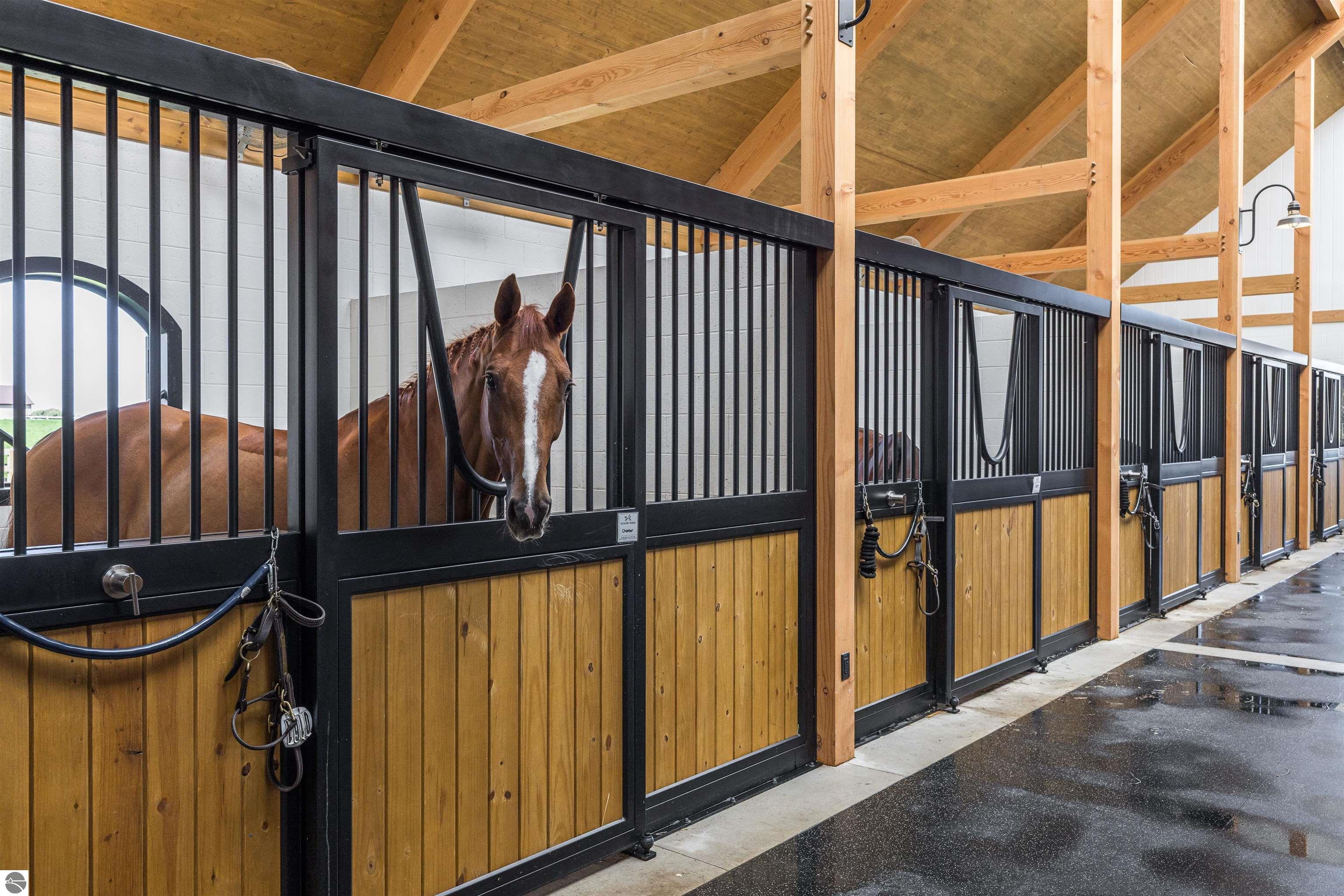 6625 Grand Prix Drive