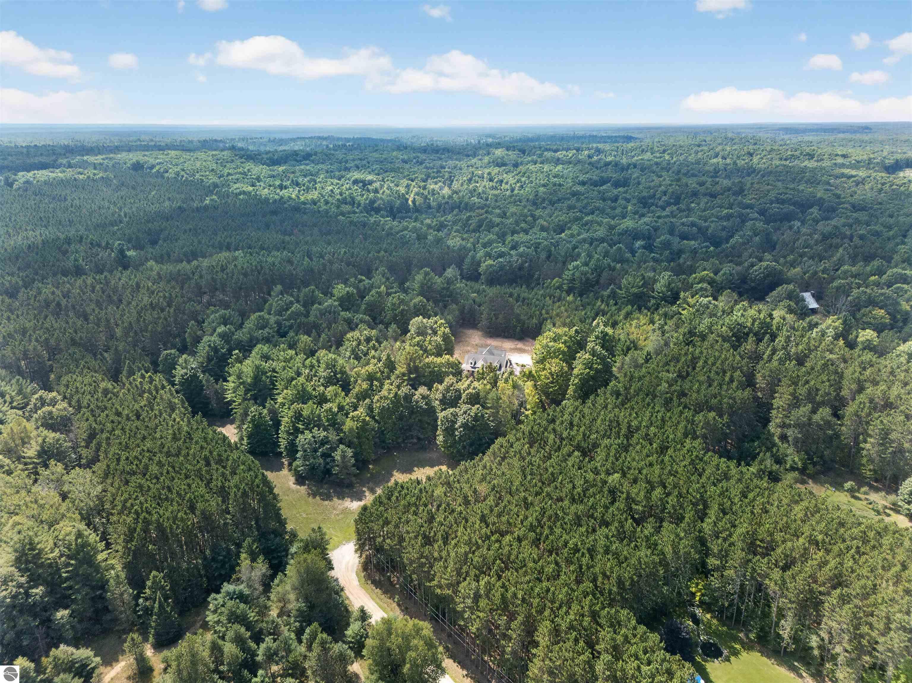 Aerial view of a secluded house surrounded by dense forest and a winding driveway.