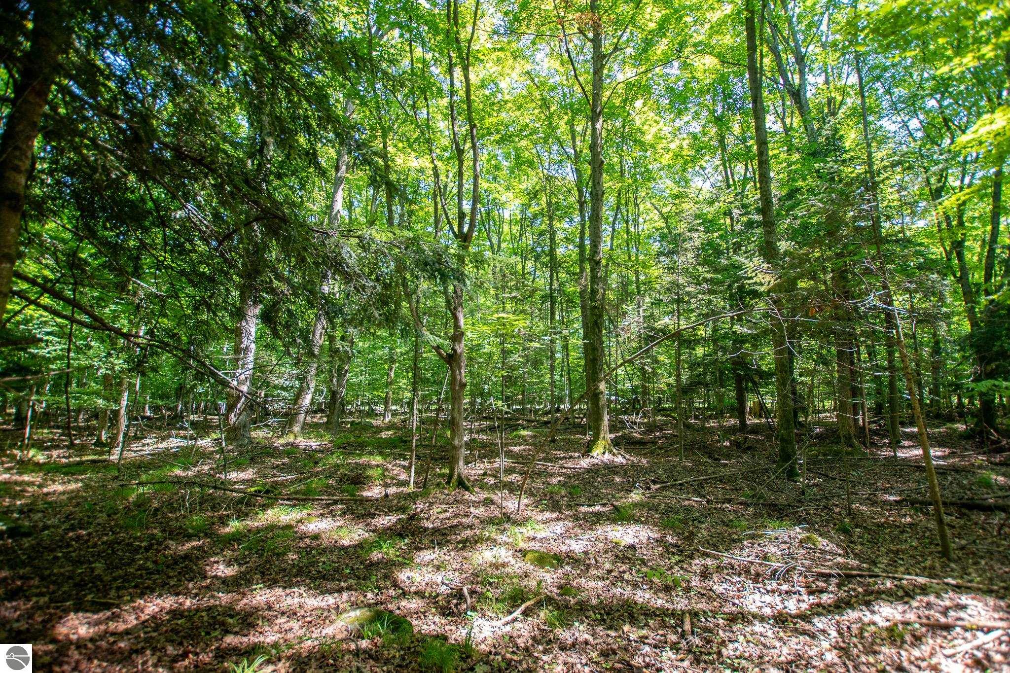 0 Tompkins Woods Road