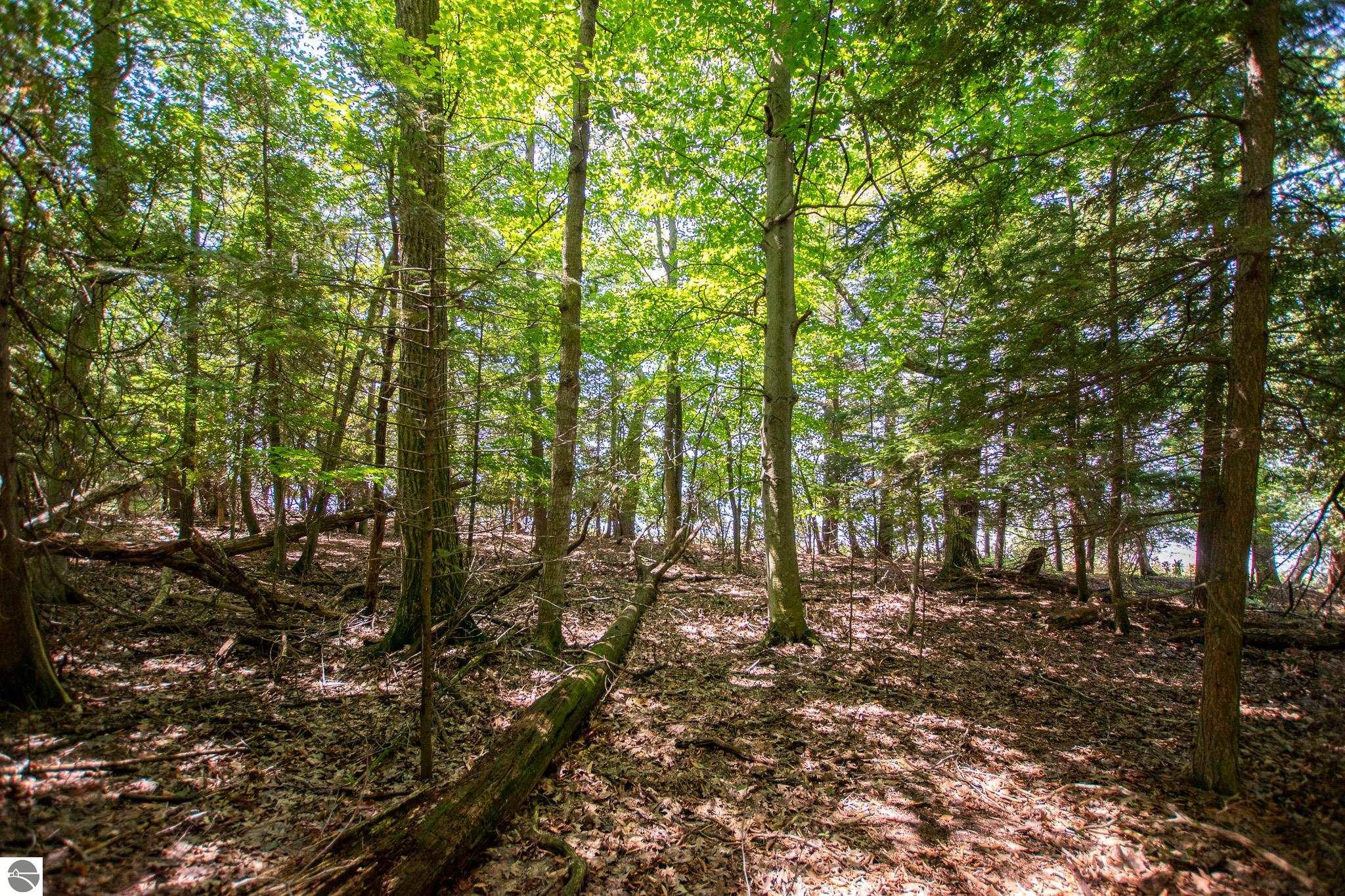 0 Tompkins Woods Road