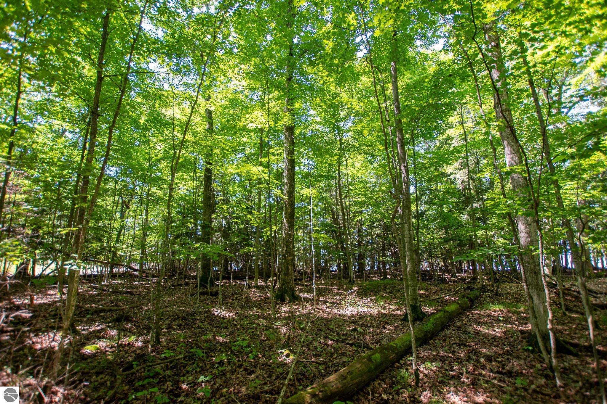 0 Tompkins Woods Road