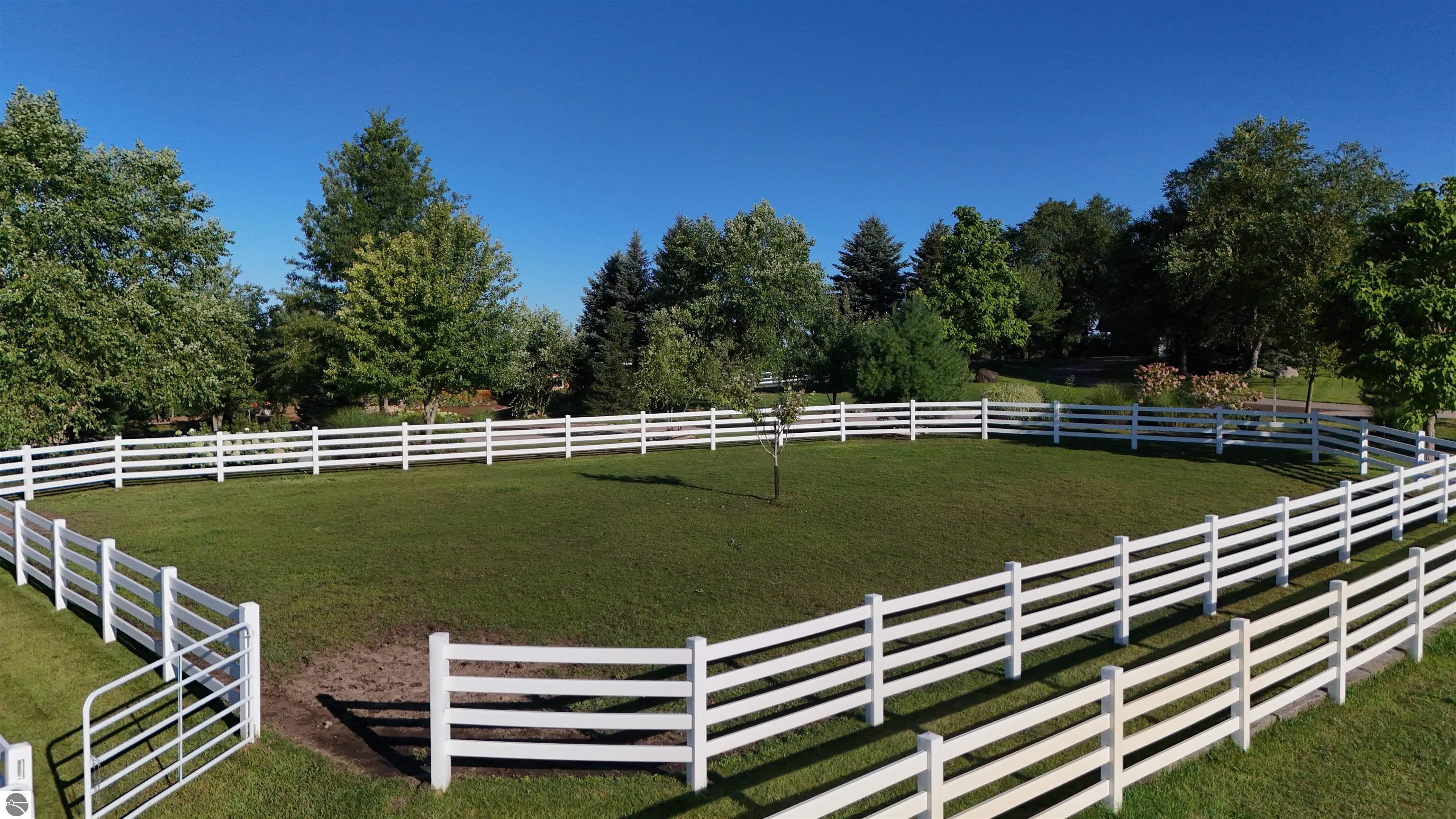 Grassy paddock enclosed by white rail fencing, with a metal gate and mature trees.