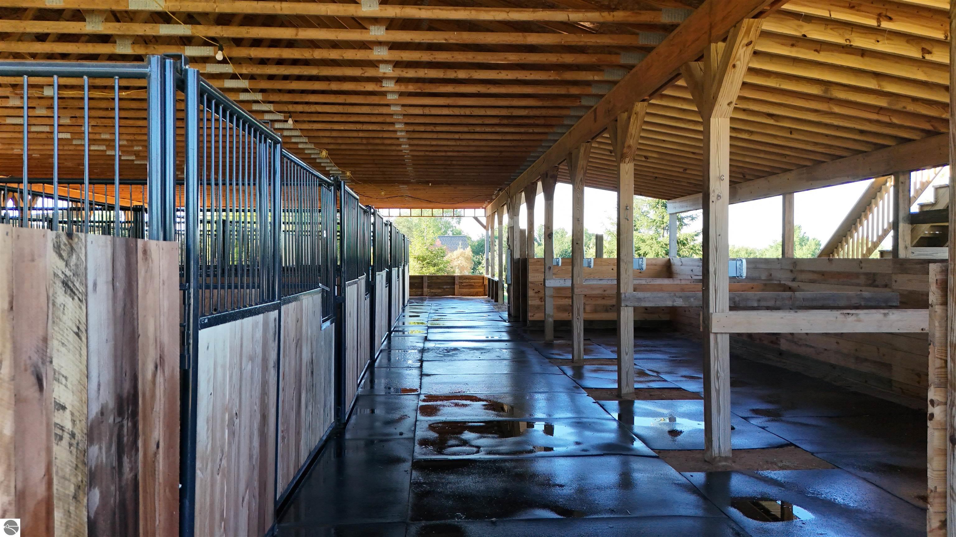 Horse barn aisle with black metal stall fronts, wooden pens, exposed beams, and a wet concrete floor.