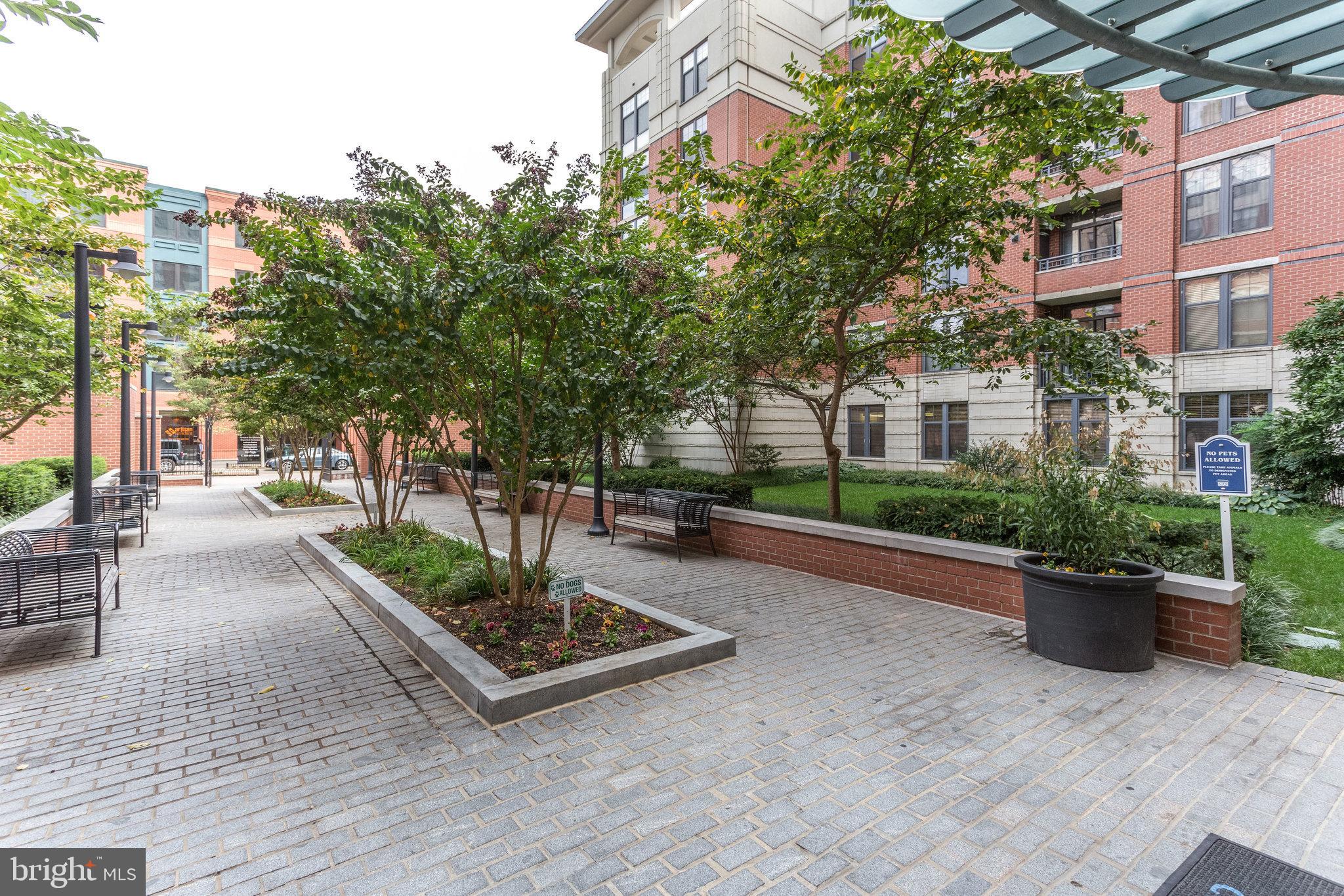 1021 N Garfield St #505