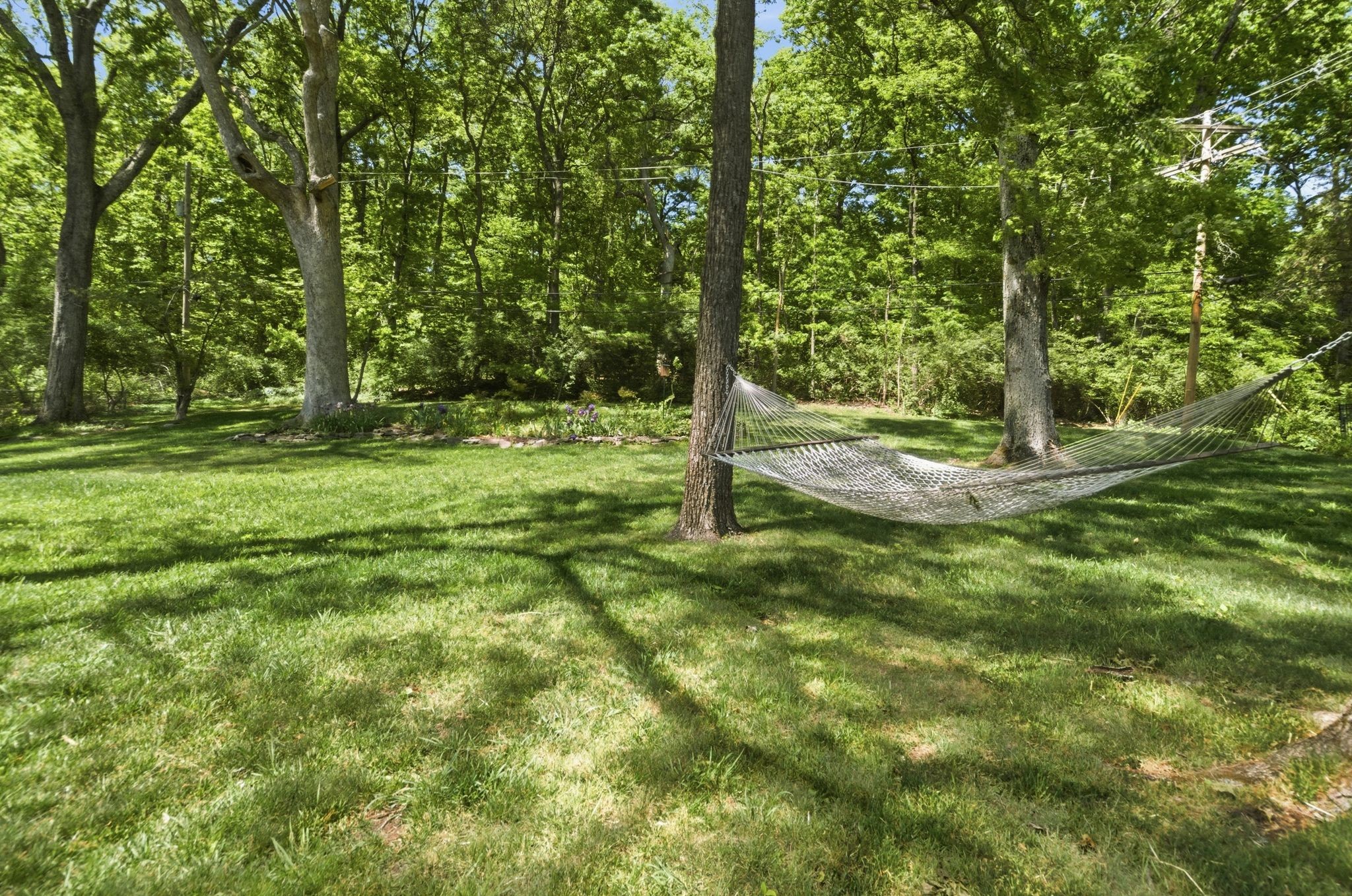 6002 Hickory Valley Rd