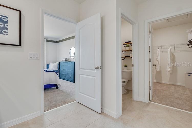 7127 PAINTED BUNTING WAY